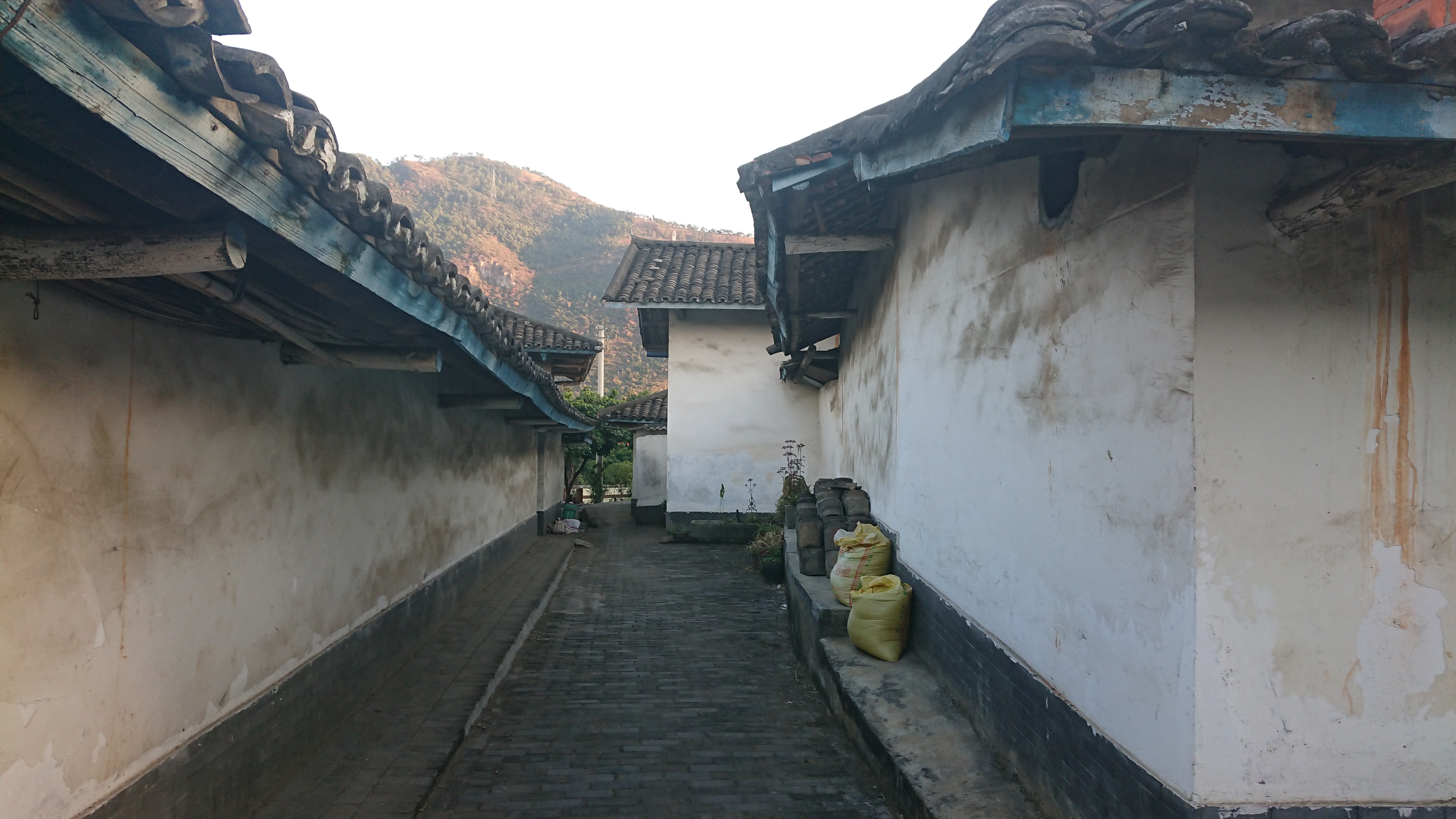 何家坝史前遗址旅行图片 2