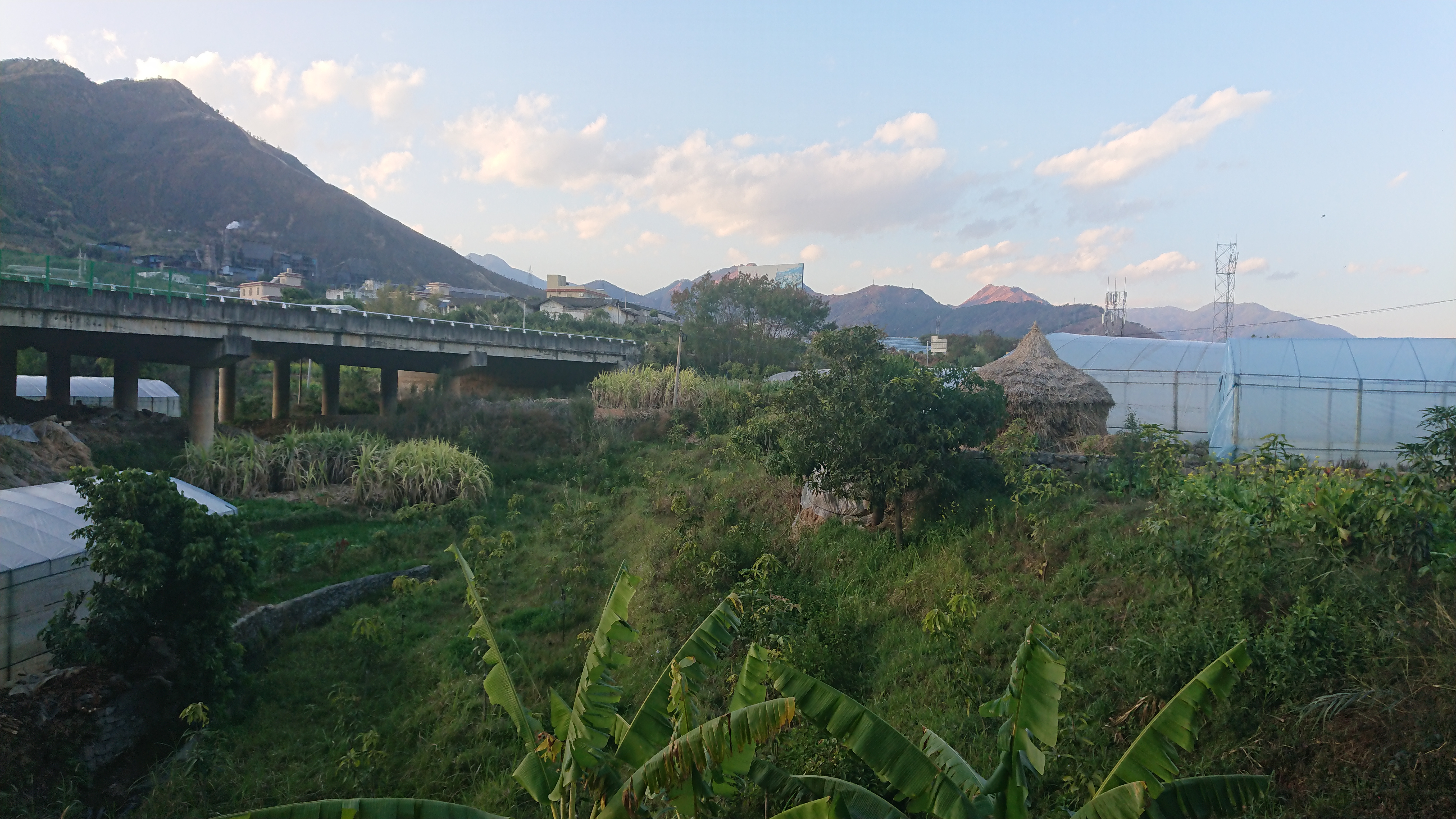 何家坝史前遗址旅行图片 1