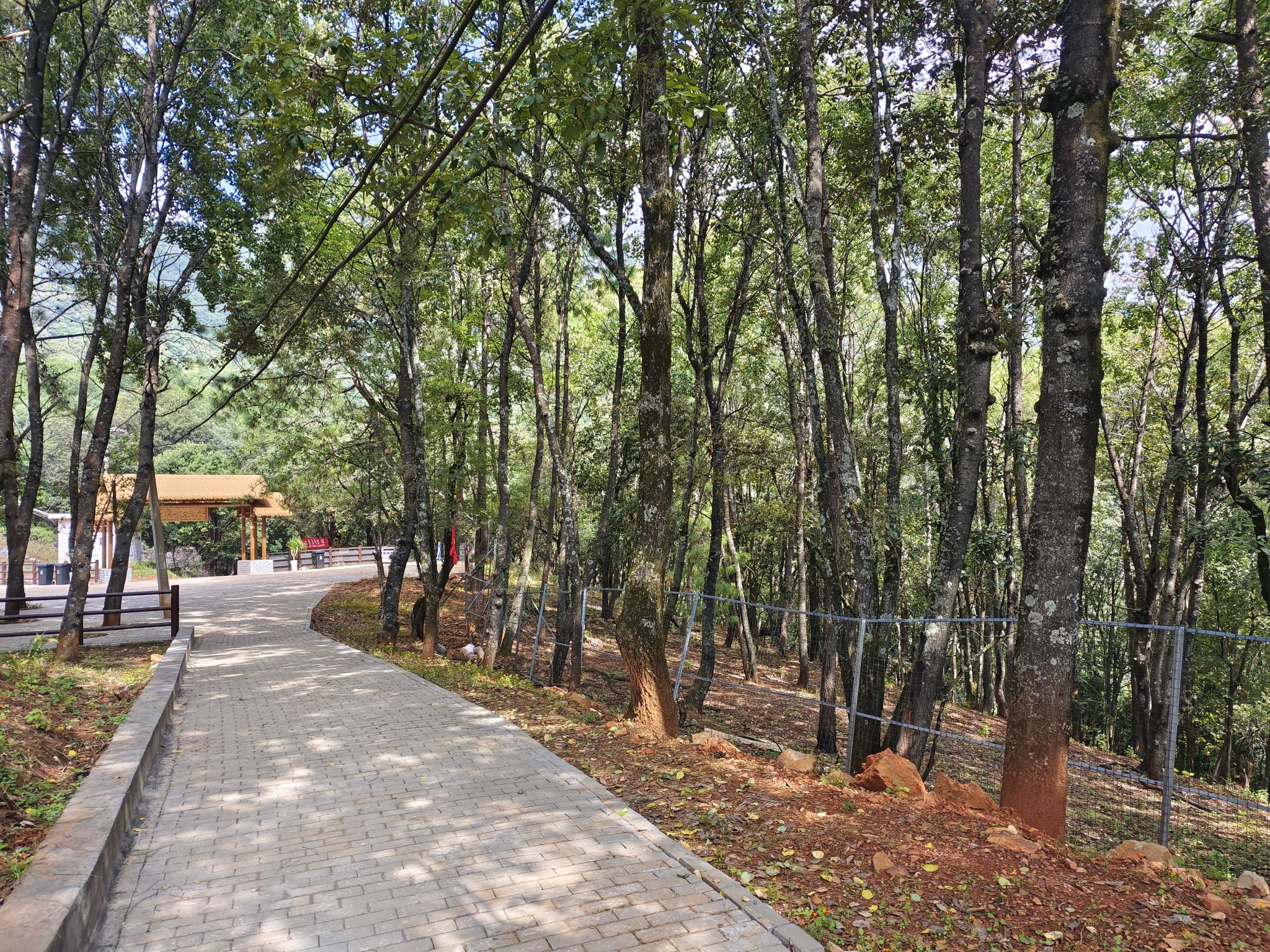 大黑山省级森林公园旅行图片 2