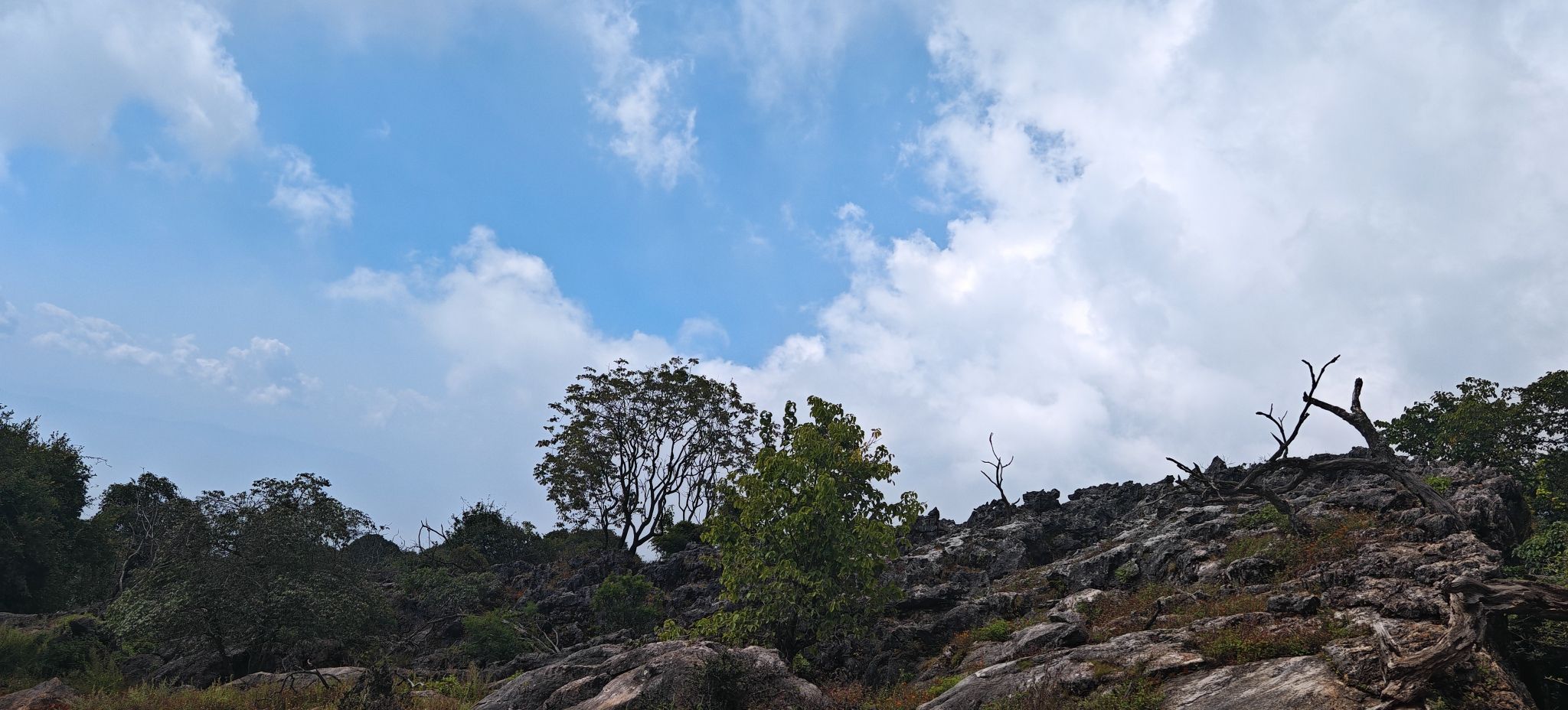 大黑山省级森林公园旅行图片 3