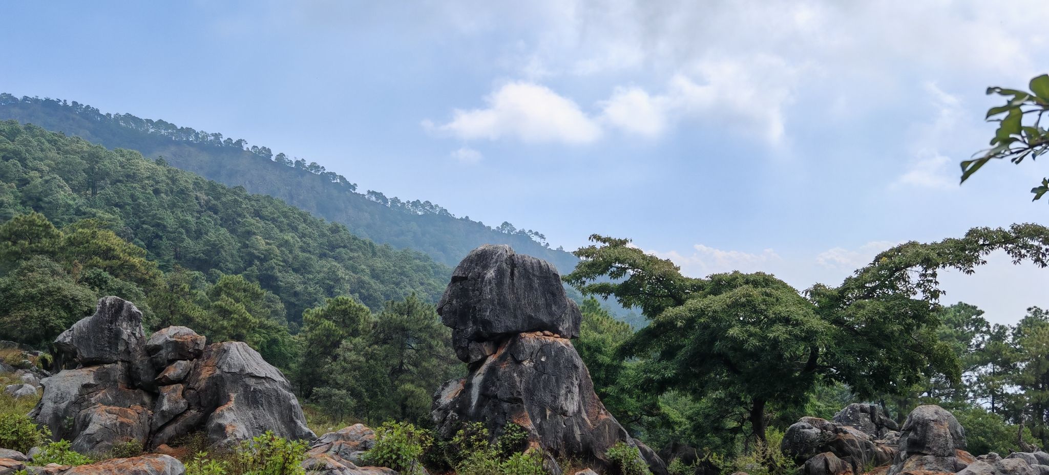 大黑山省级森林公园旅行图片 2