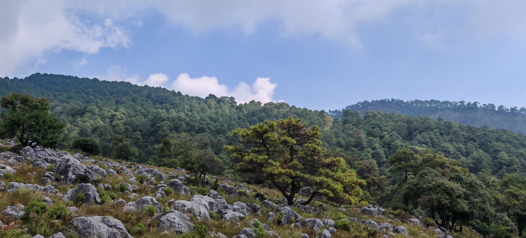 大黑山省级森林公园旅行图片 1