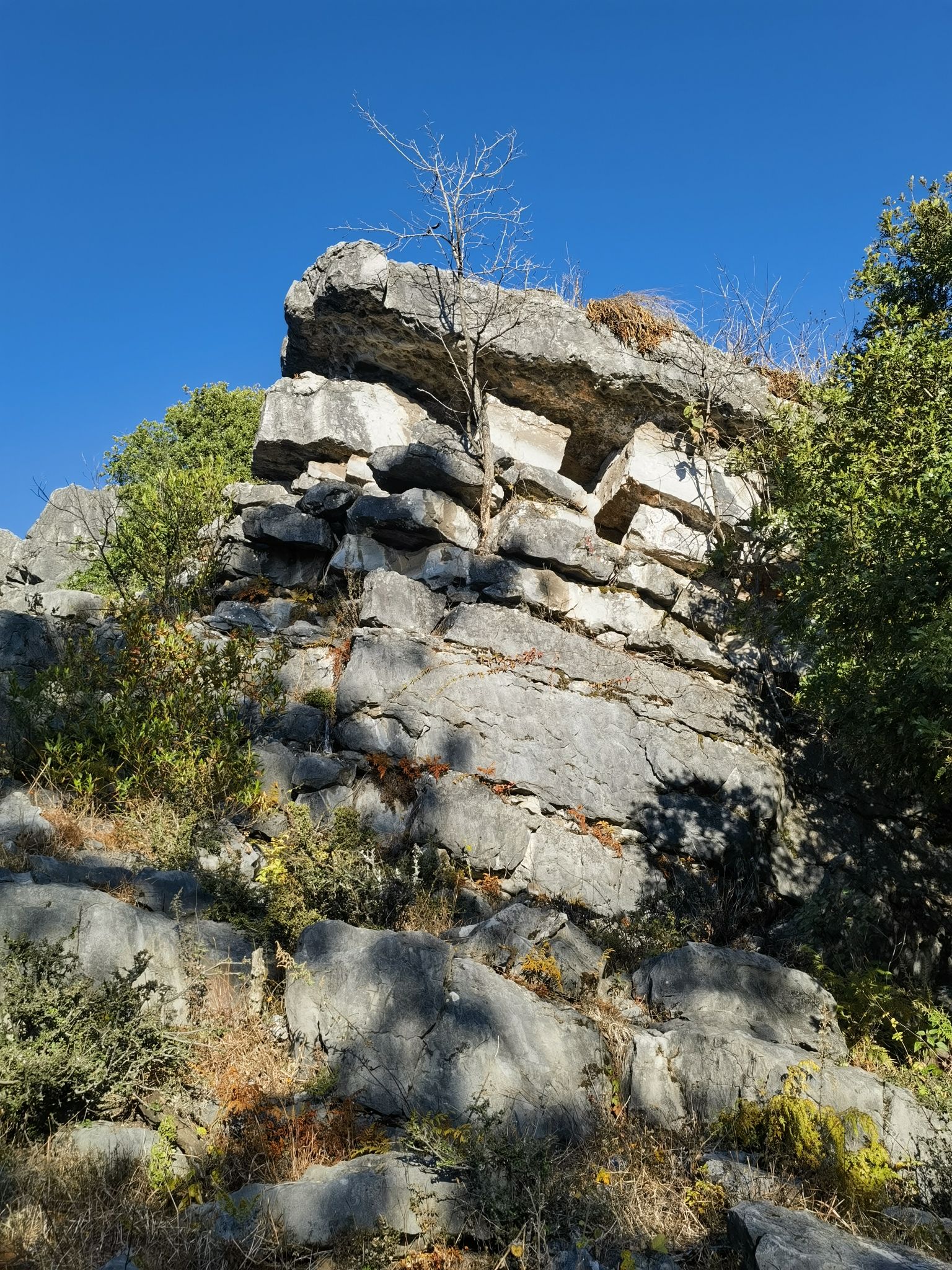 大黑山省级森林公园旅行图片 3