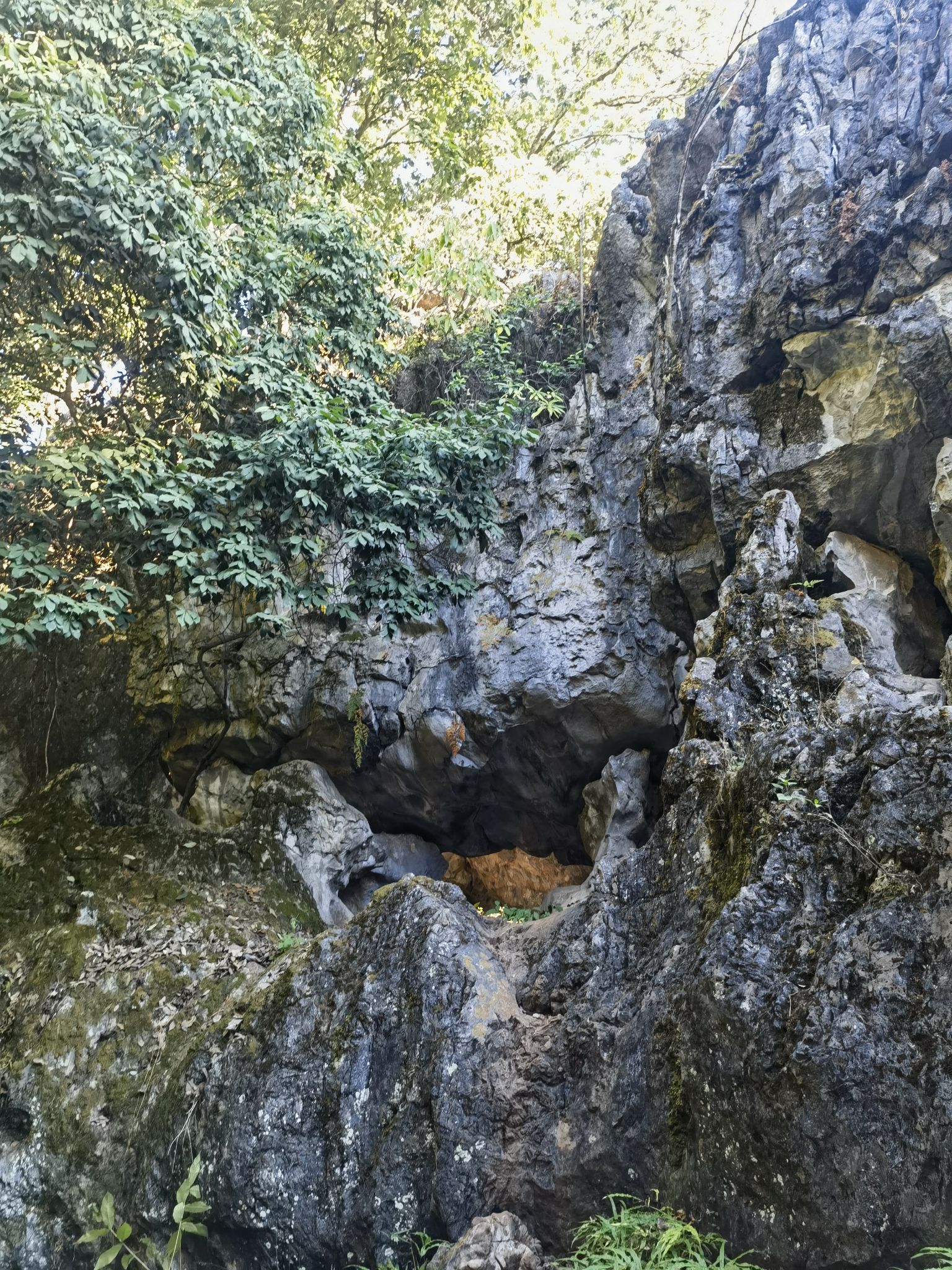 大黑山省级森林公园旅行图片 2