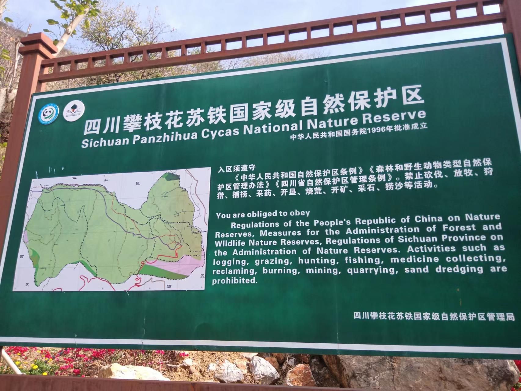 攀枝花苏铁自然保护区旅行图片 3