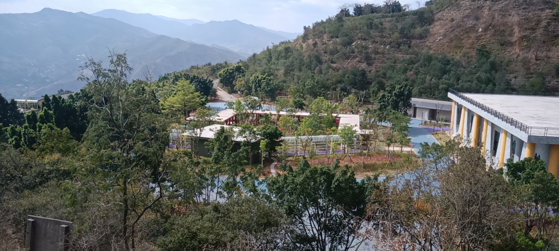 攀枝花苏铁自然保护区旅行图片 1