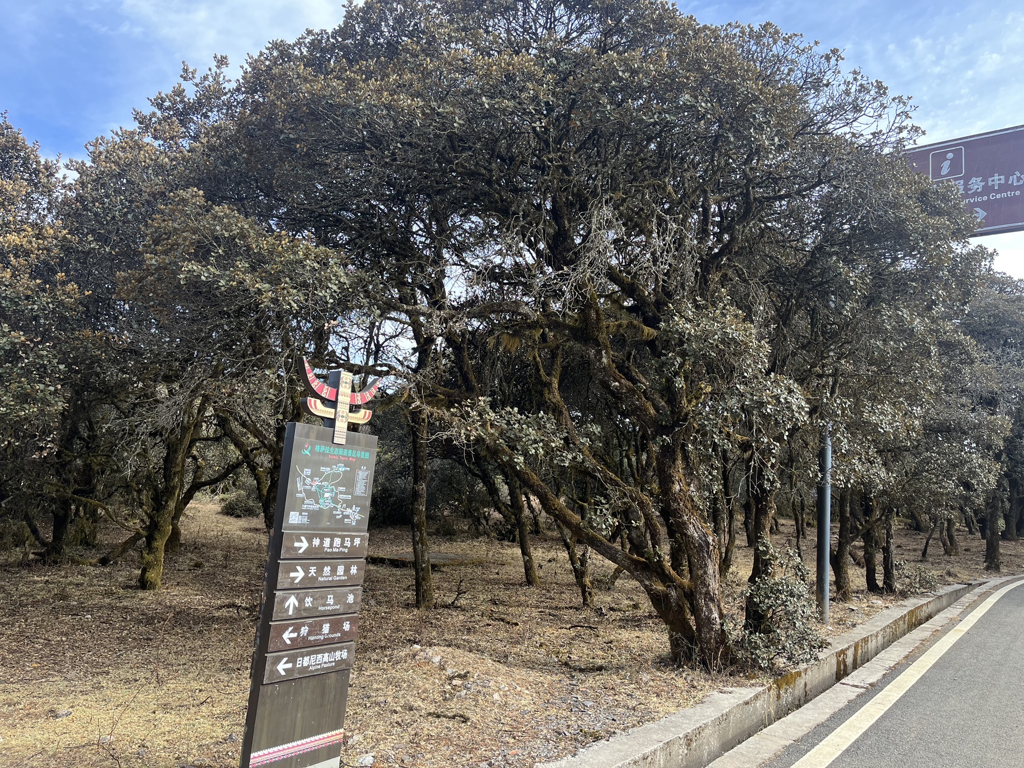 攀西大裂谷格萨拉生态旅游区旅行图片 1