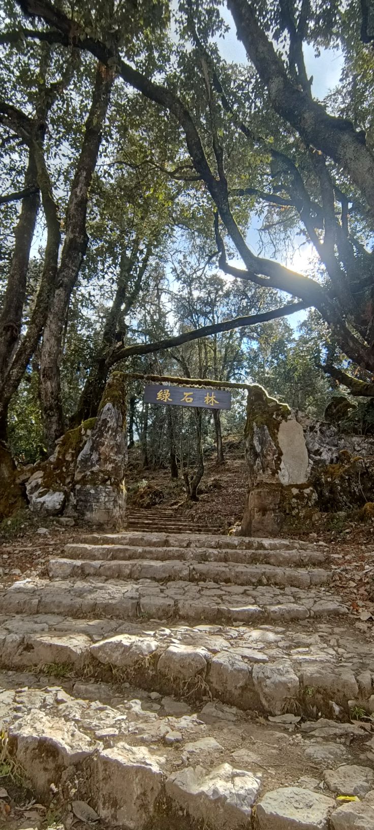 攀西大裂谷格萨拉生态旅游区旅行图片 2