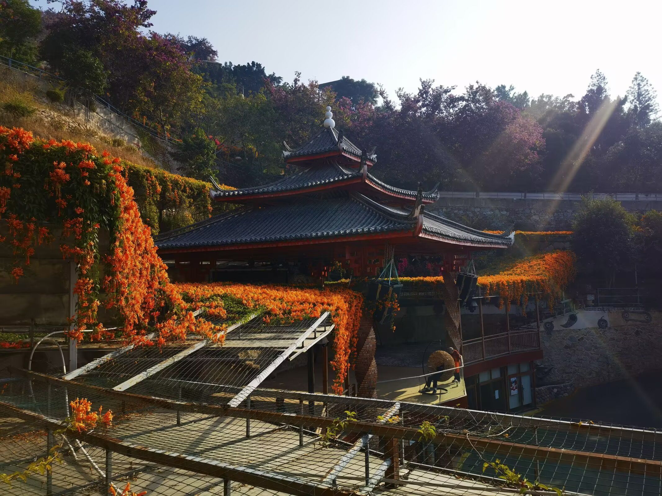 仁和公园旅行图片 1