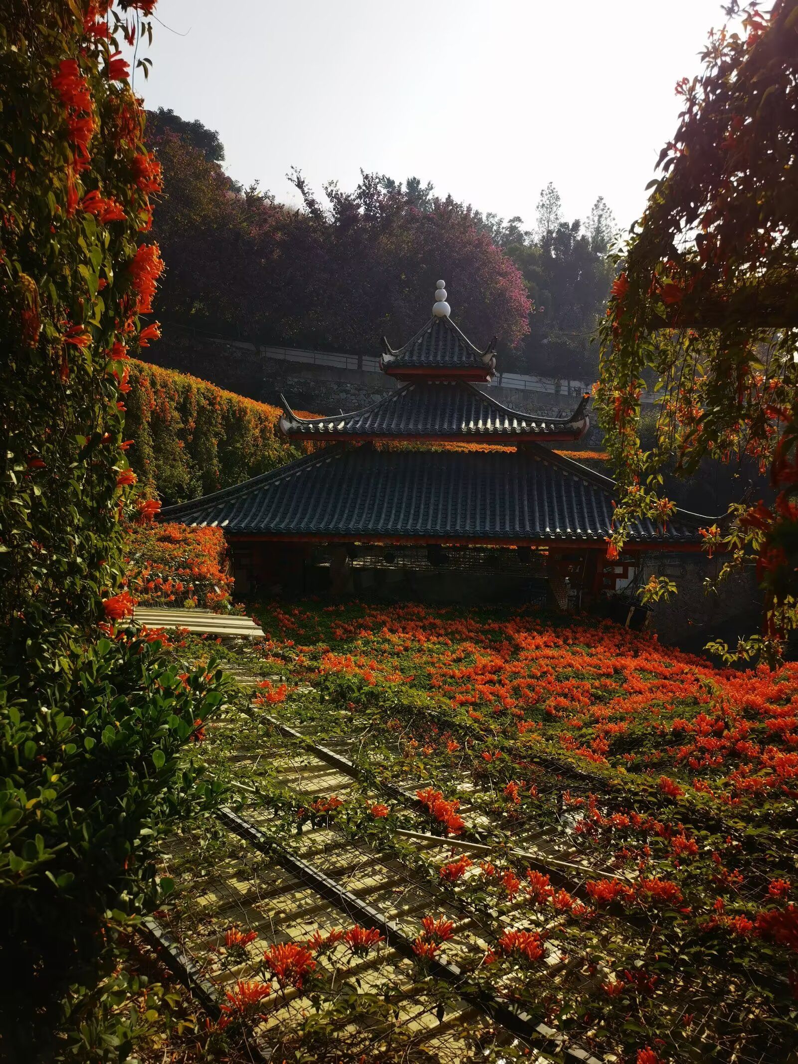 仁和公园旅行图片 3