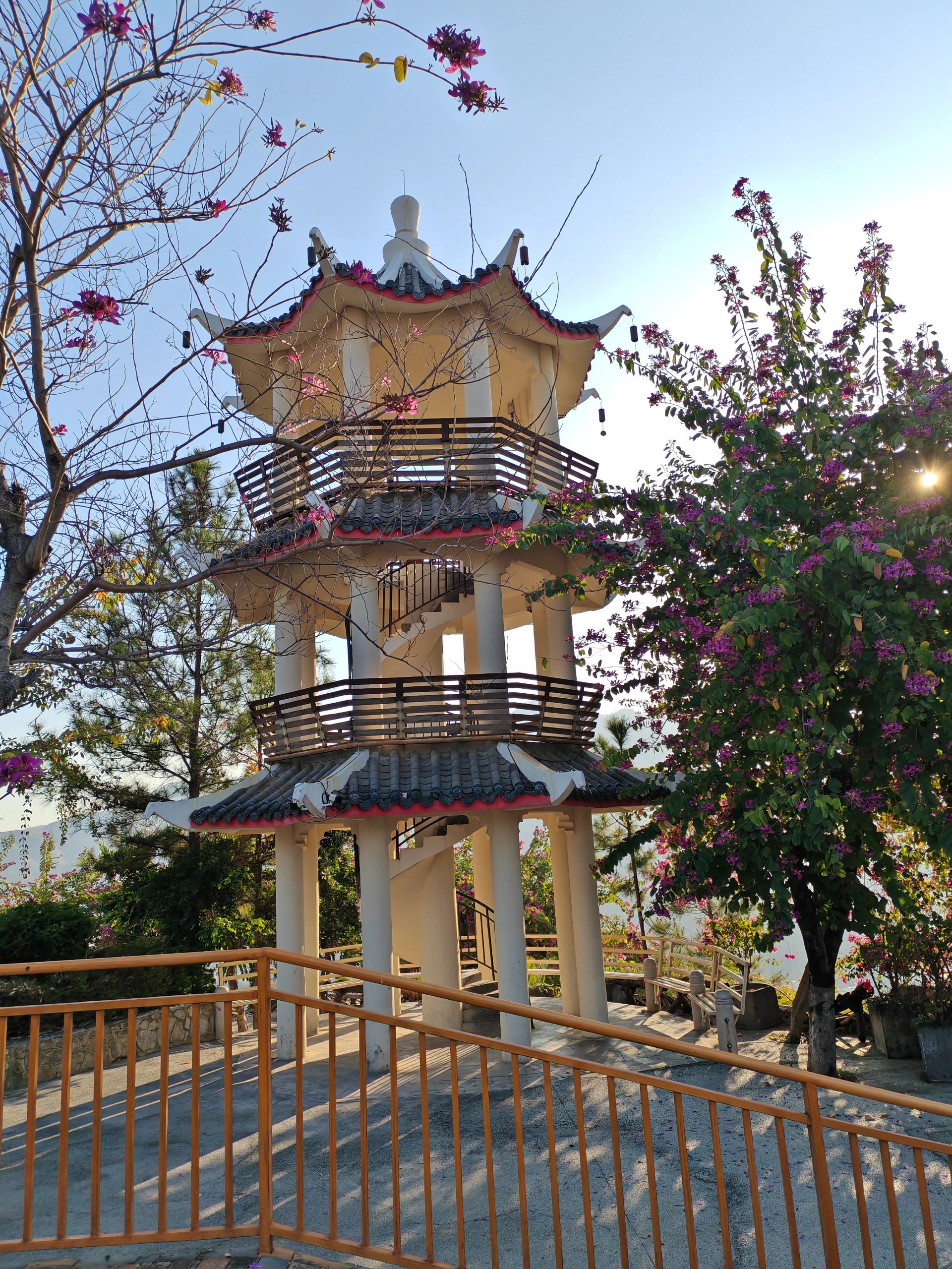 仁和公园旅行图片 3