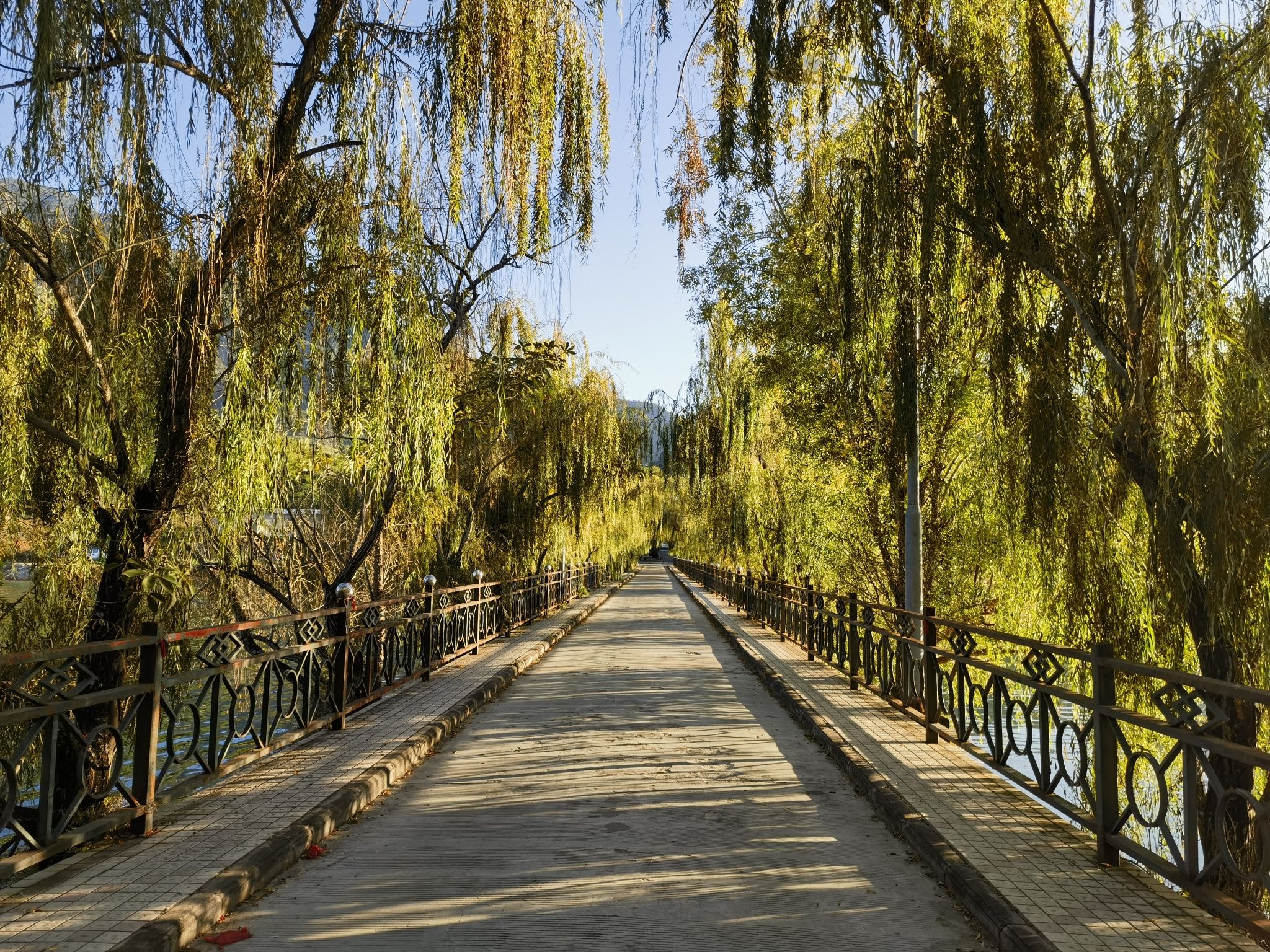 渔门岛旅行图片 2