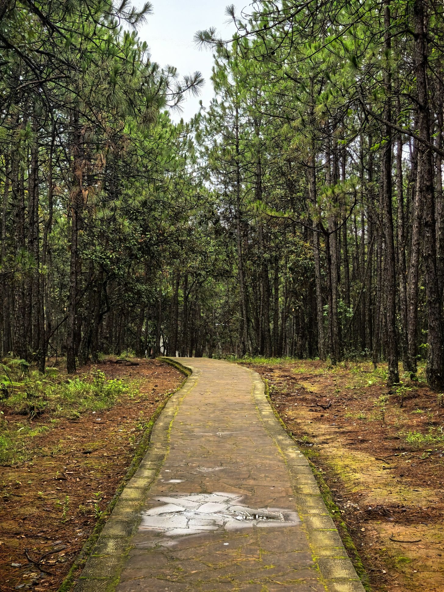 永仁方山诸葛营村风景旅游区旅行图片 3