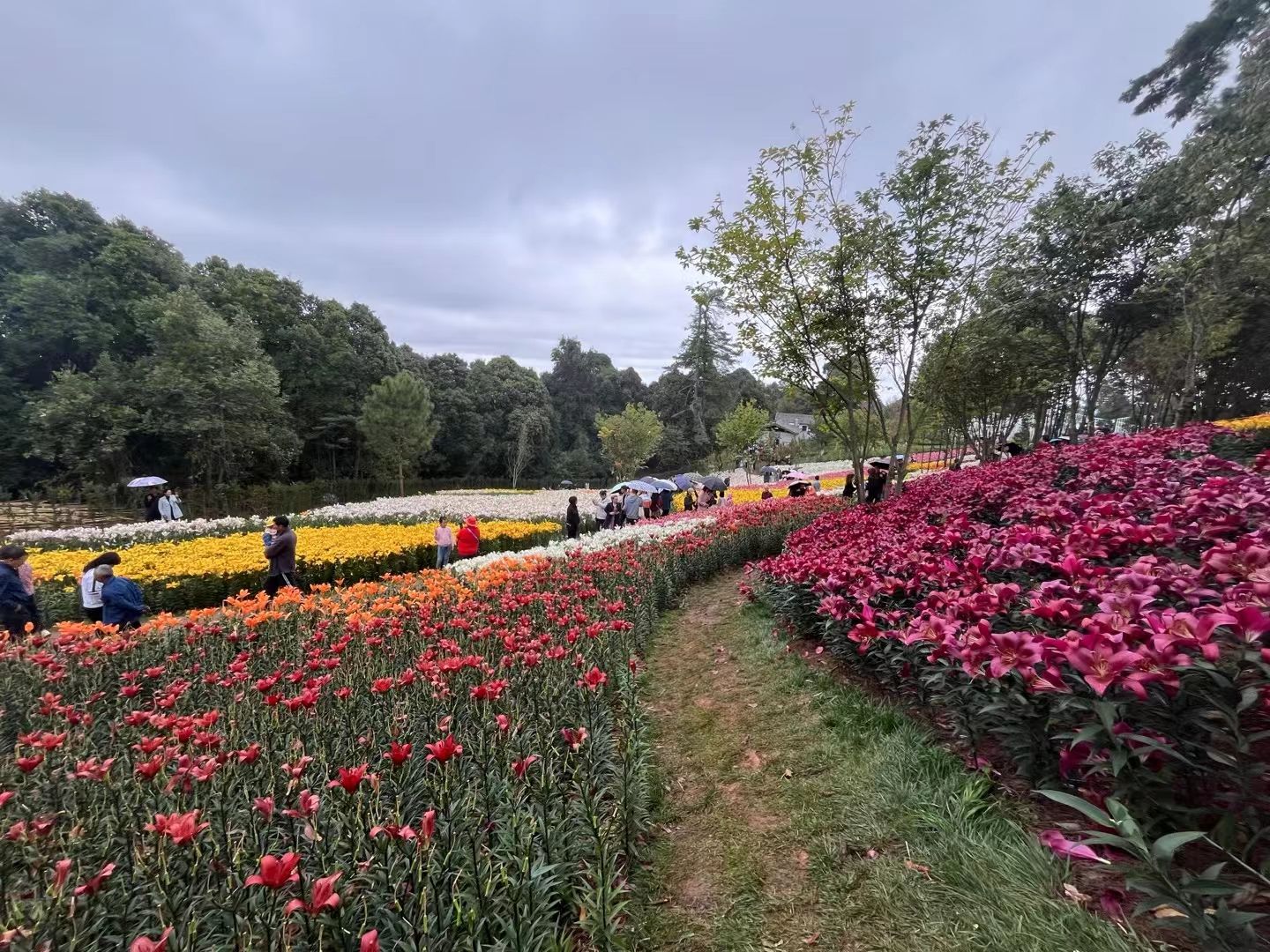 永仁方山诸葛营村风景旅游区旅行图片 1