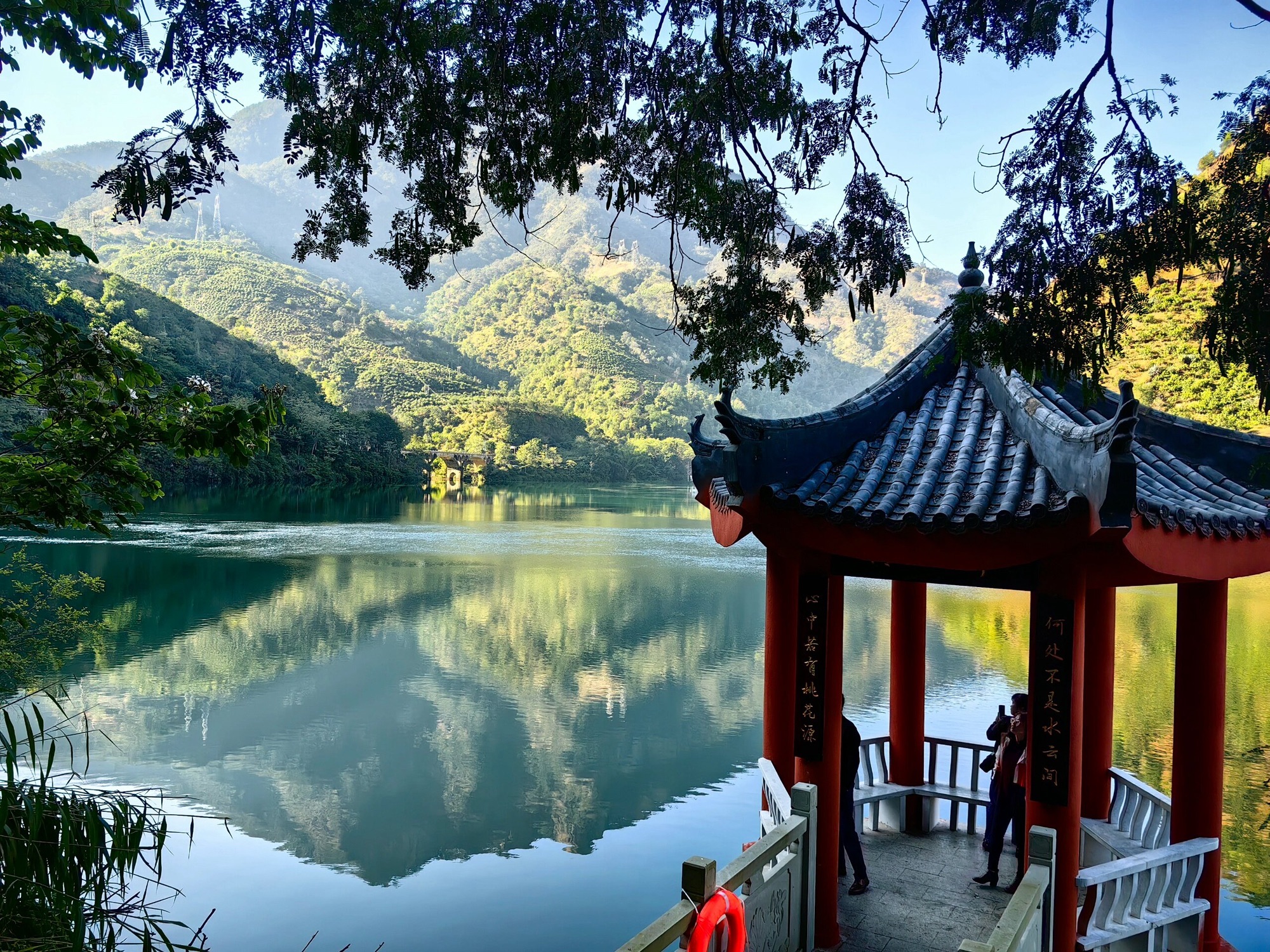 二滩国家森林公园旅行图片 3