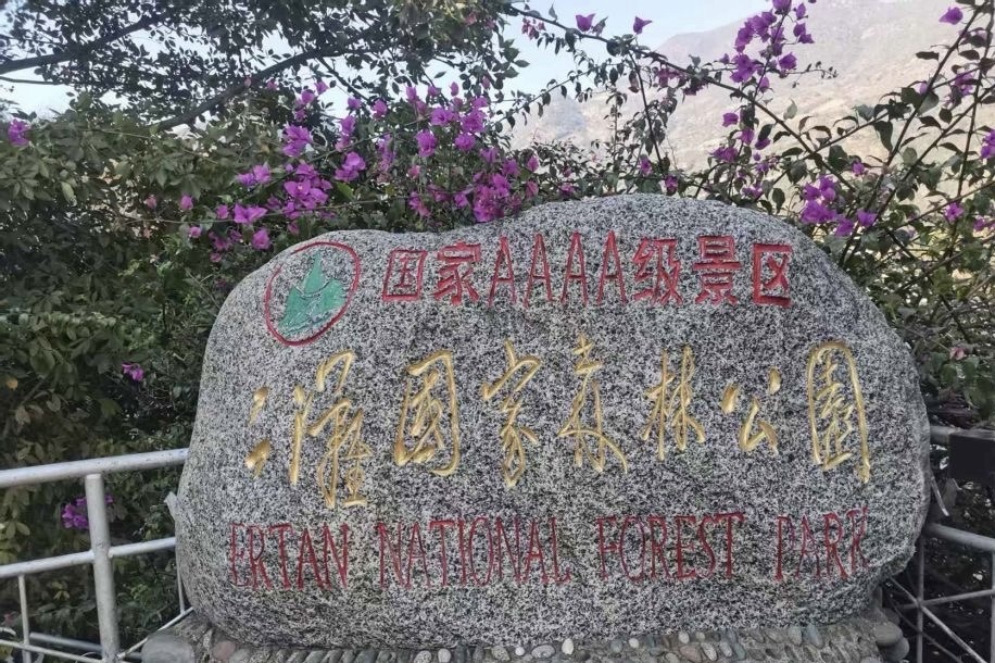 二滩国家森林公园旅行图片 1