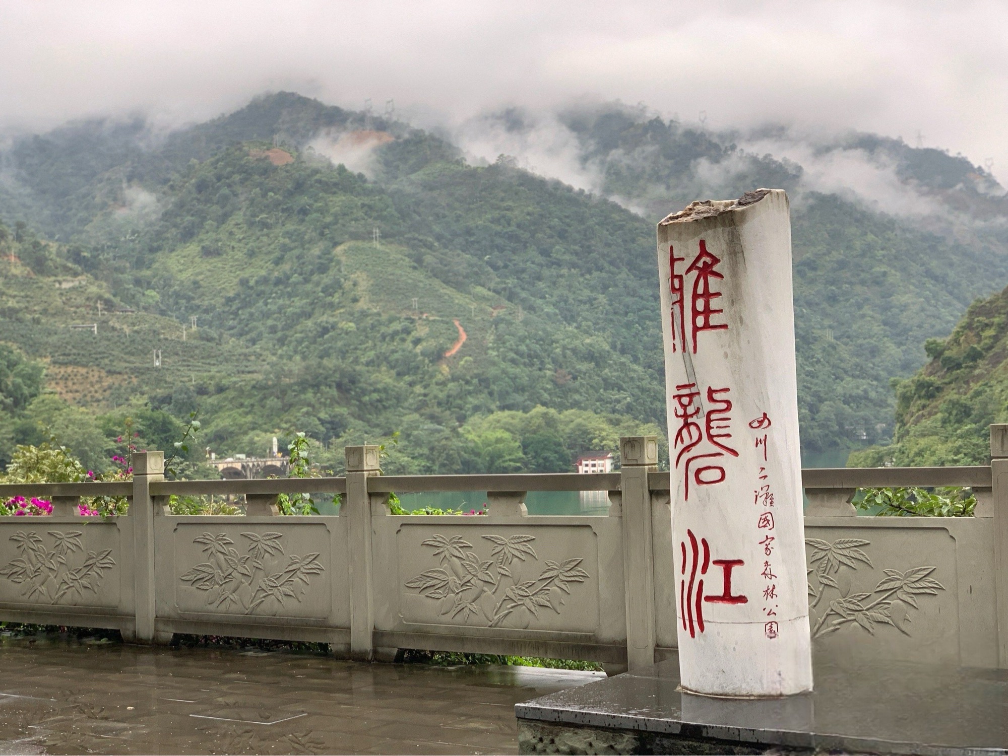 二滩国家森林公园旅行图片 3
