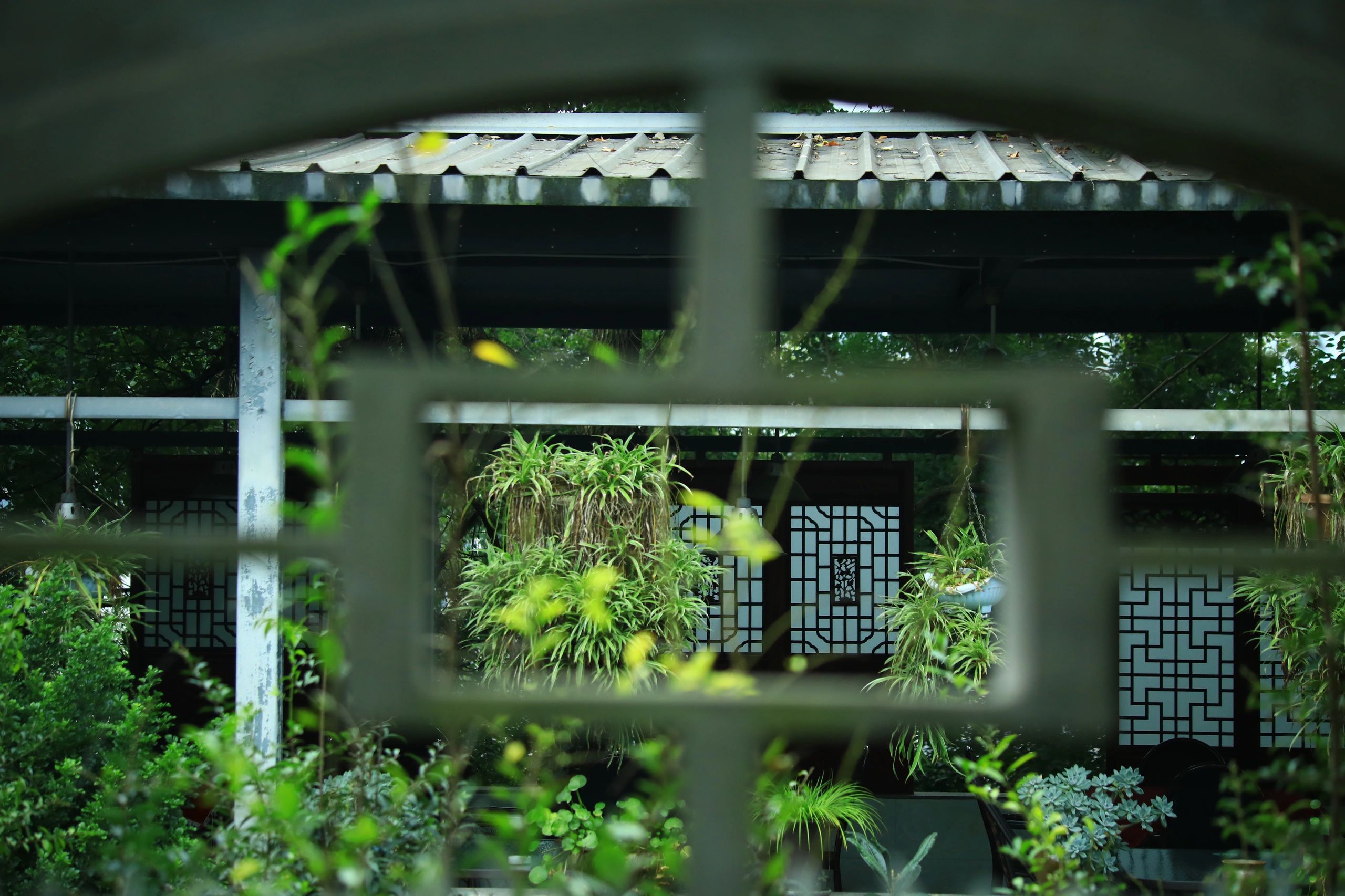 龙凤山公园旅行图片 2