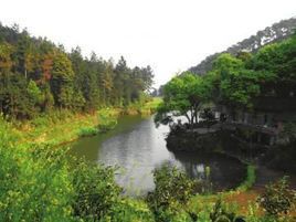 四川省高石梯森林公园旅行图片 1