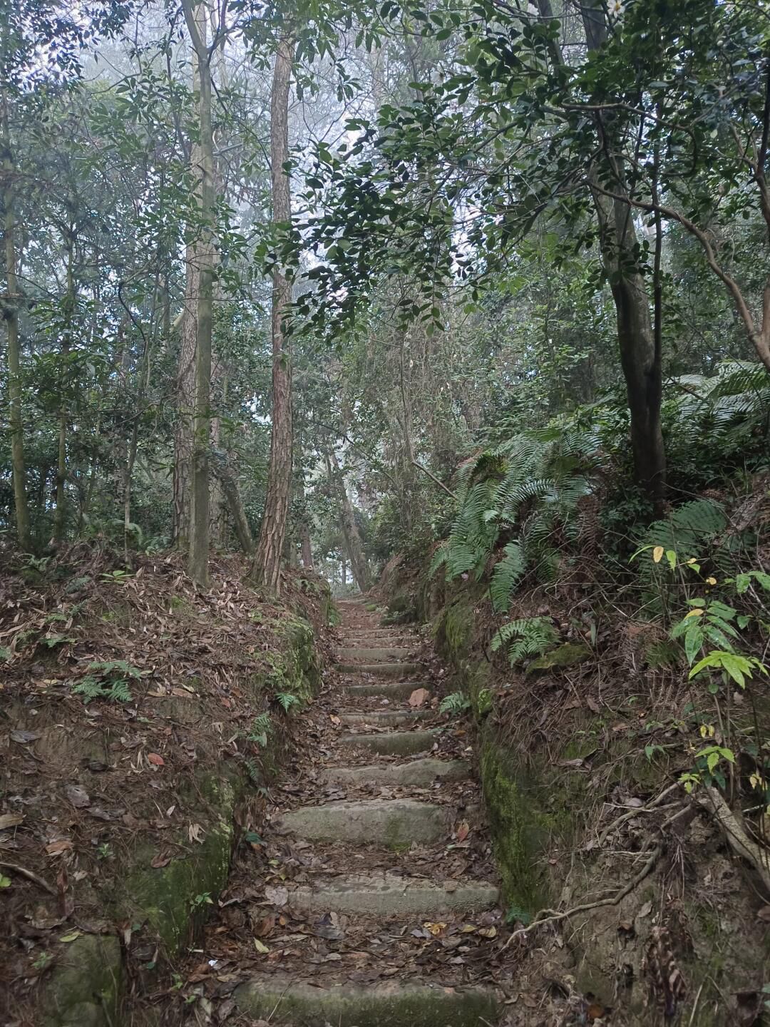 四川省高石梯森林公园旅行图片 3