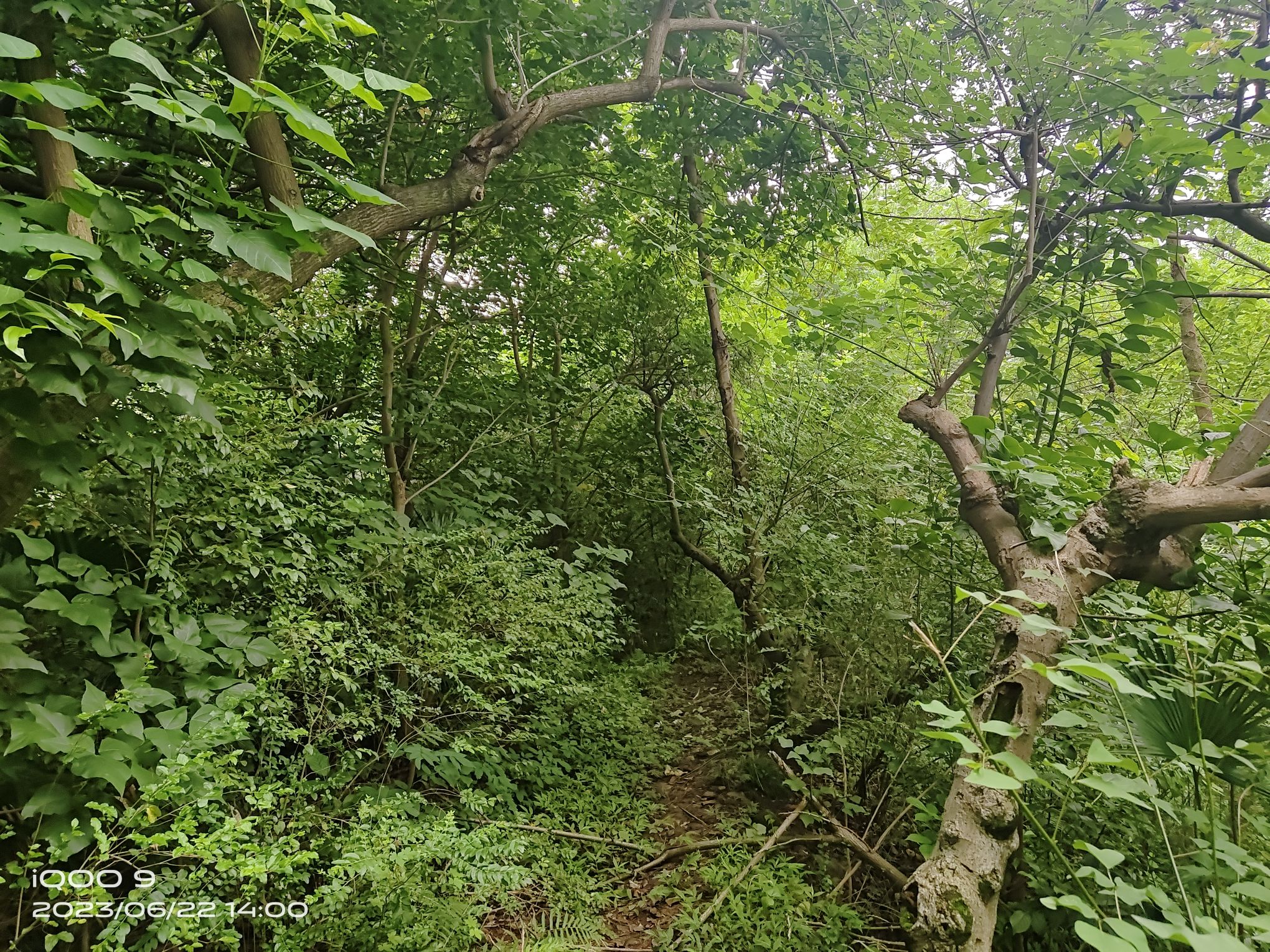 双溪湖风景区旅行图片 2