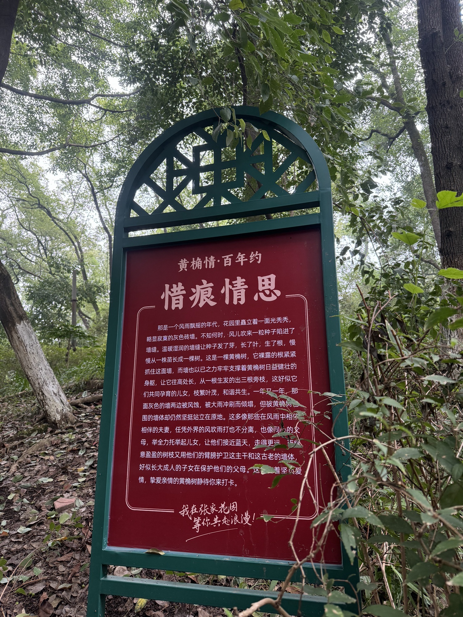 贡井人民公园旅行图片 1