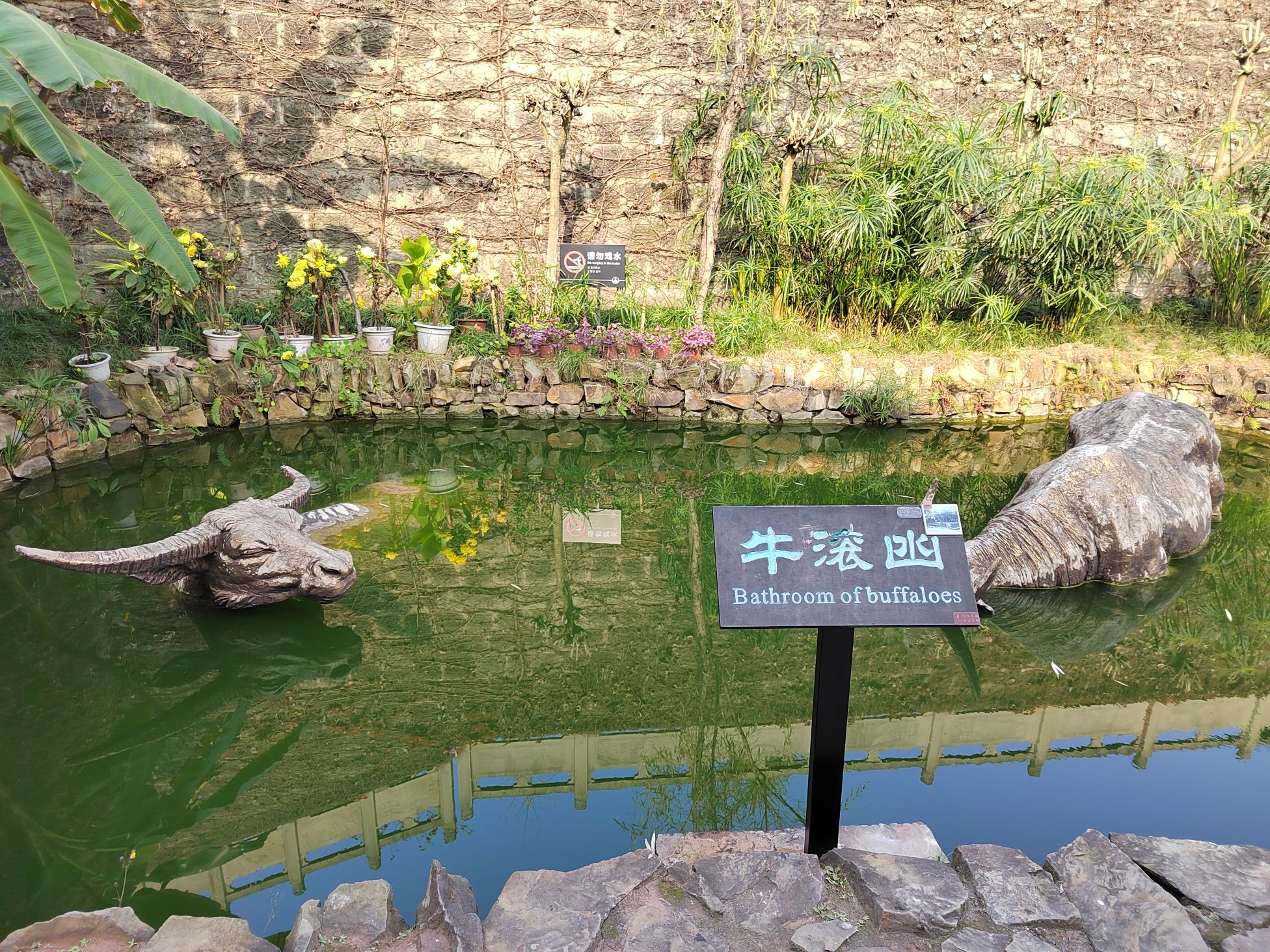 燊海井旅行图片 3