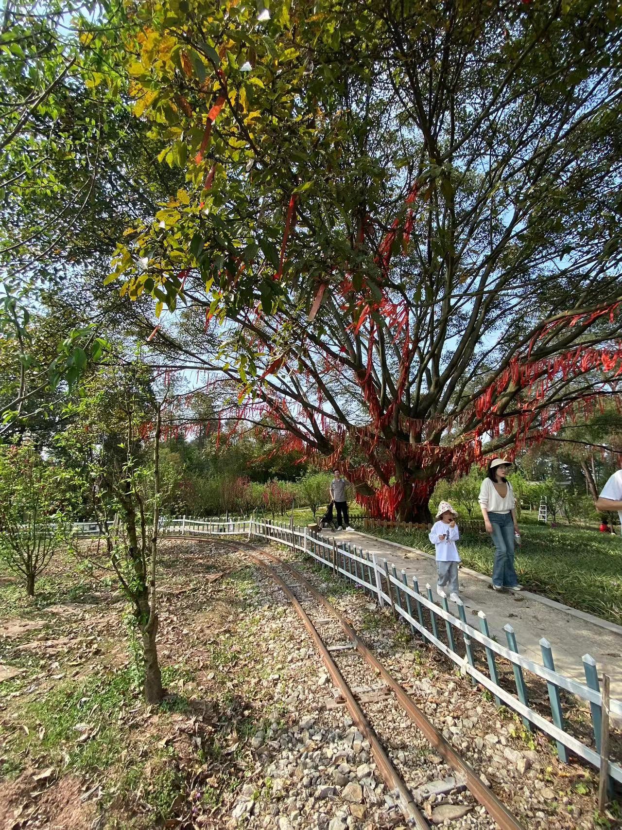 自贡尖山风景区旅行图片 3