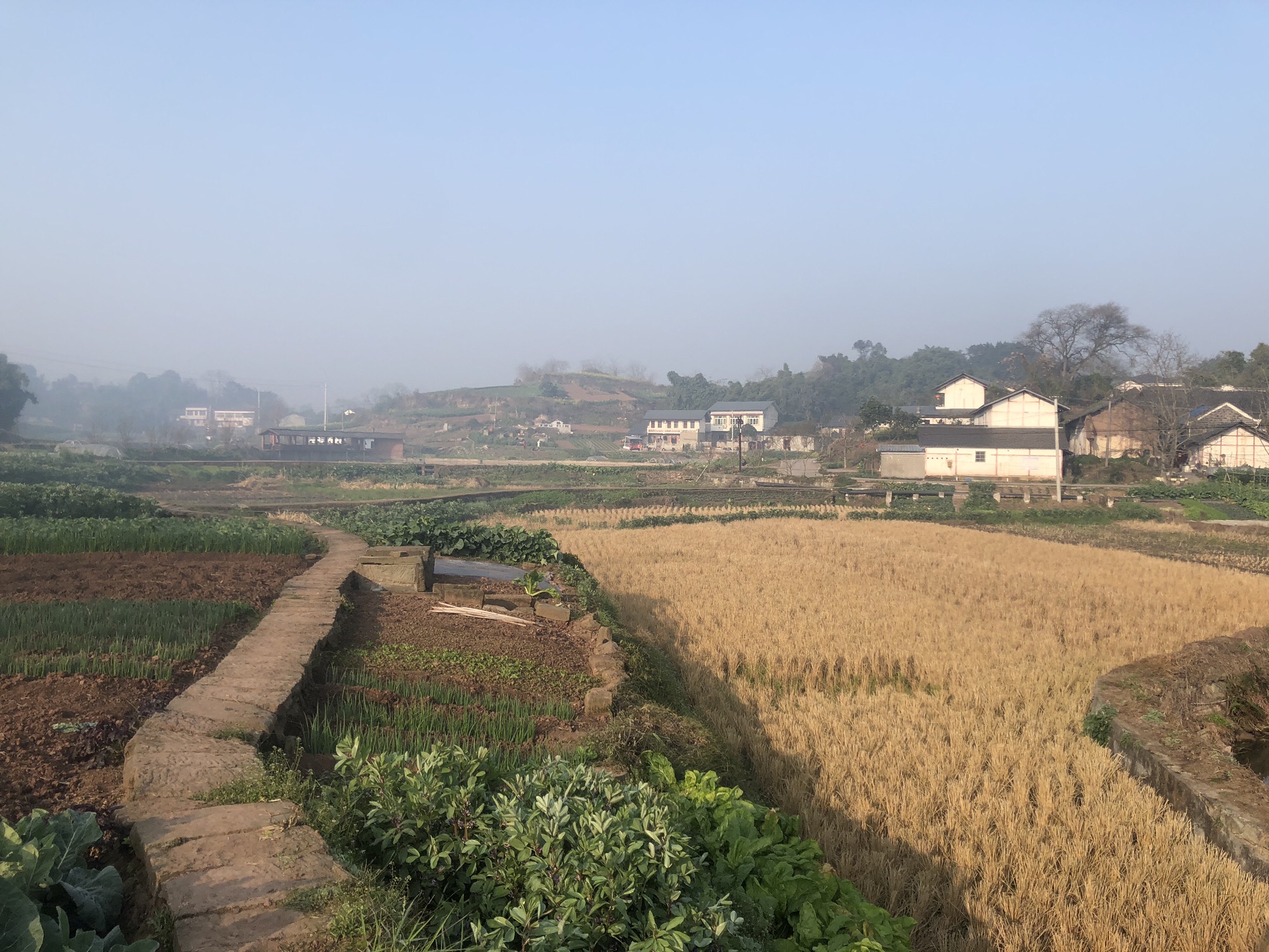 三多古寨旅行图片 1