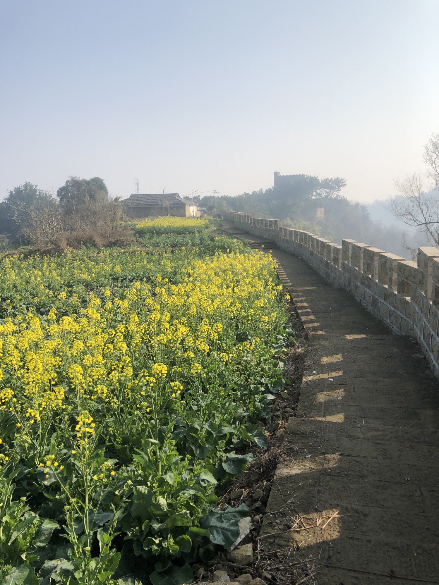 三多古寨旅行图片 3