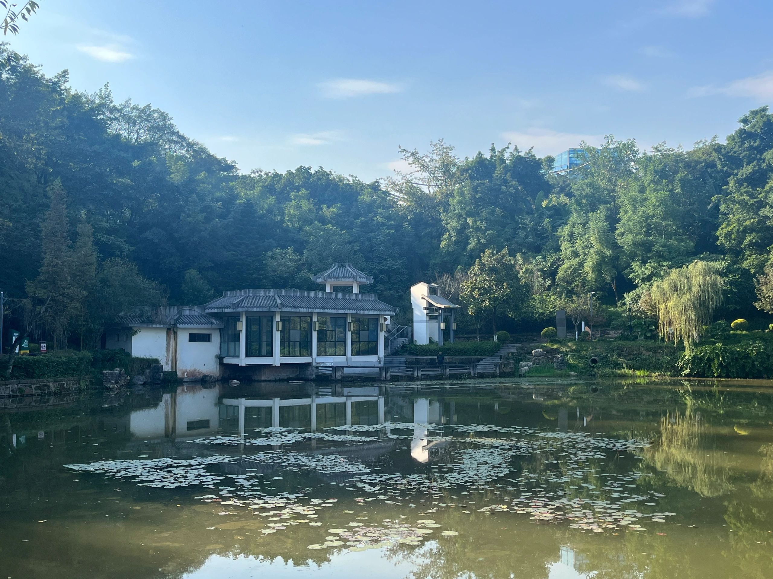 盐都植物园旅行图片 3