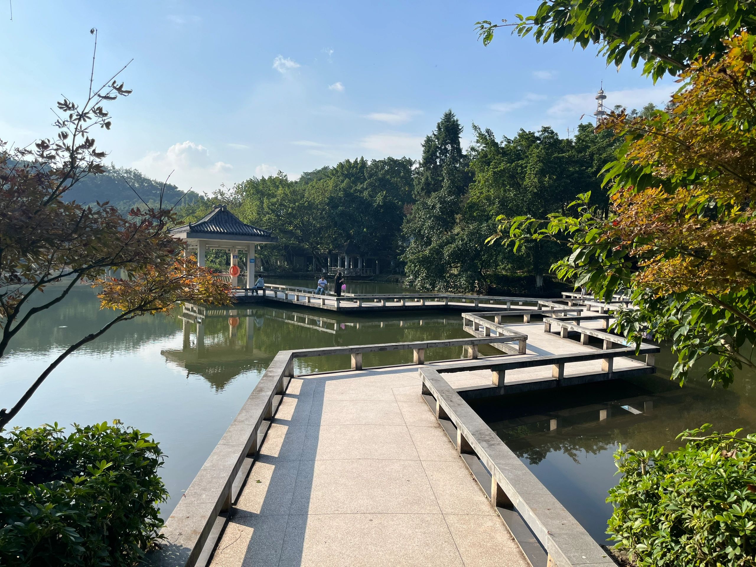 盐都植物园旅行图片 1