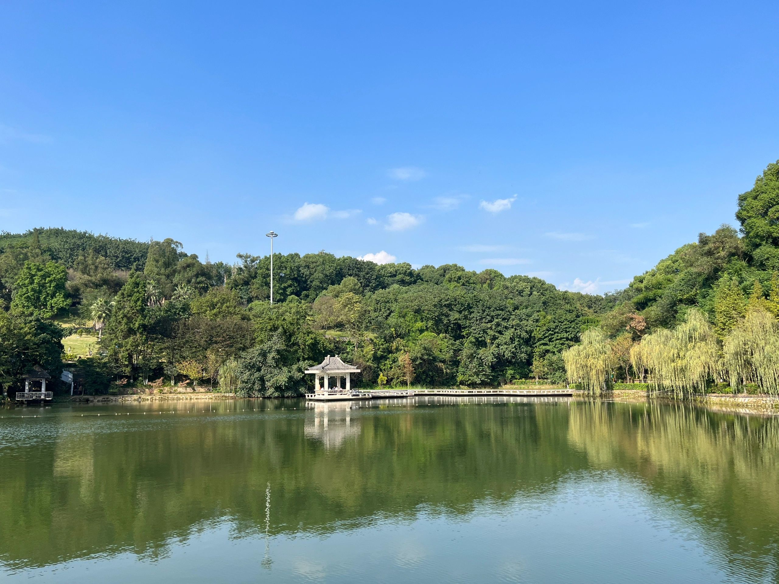 盐都植物园旅行图片 2
