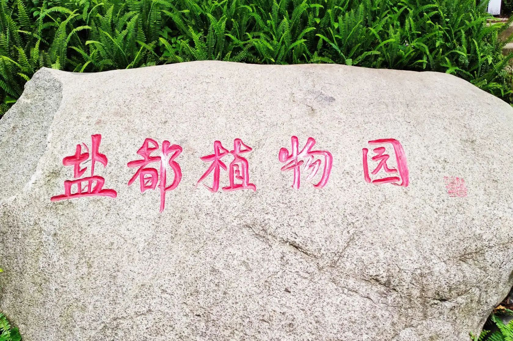 盐都植物园景点图片