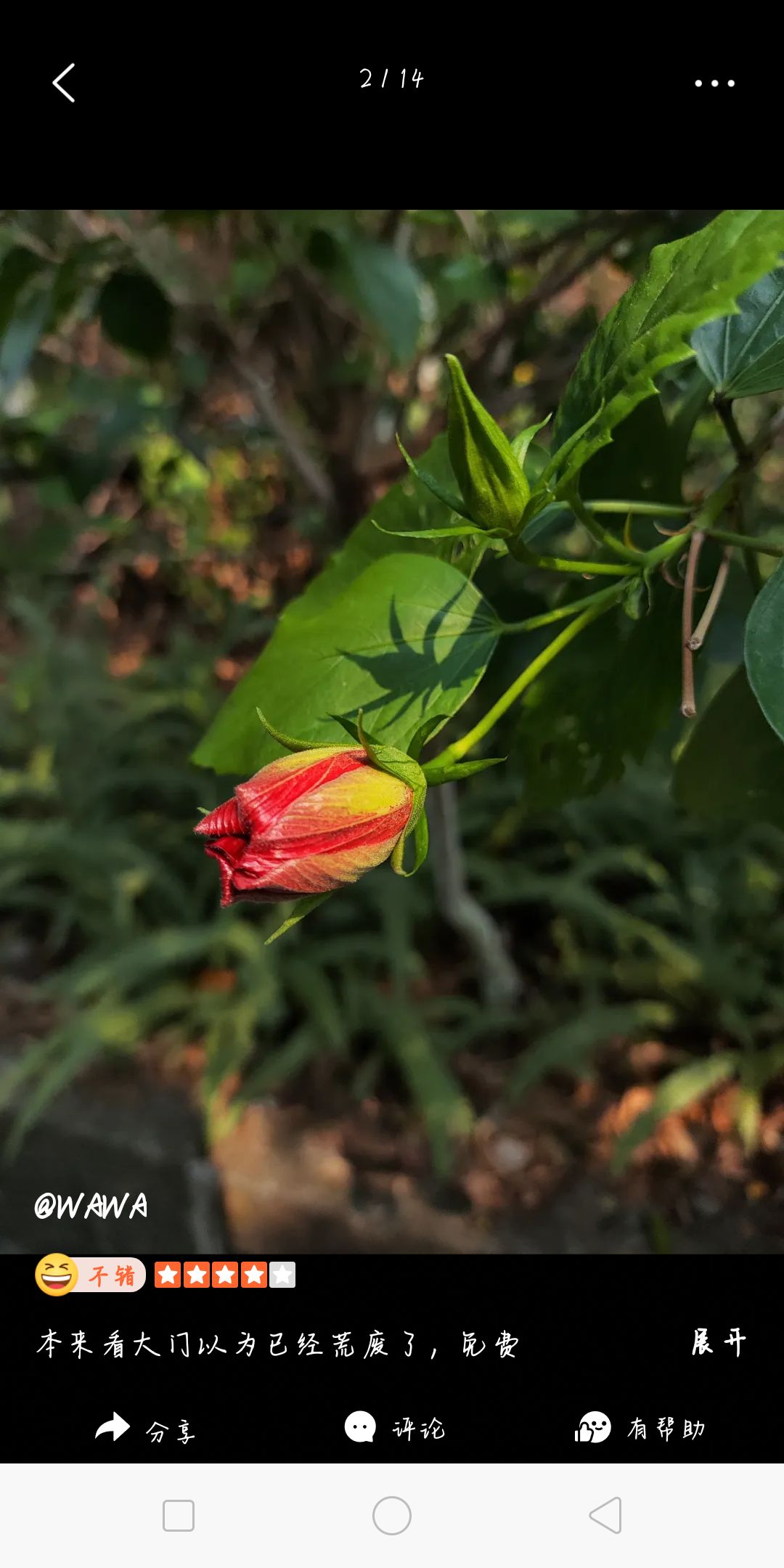 盐都植物园旅行图片 2