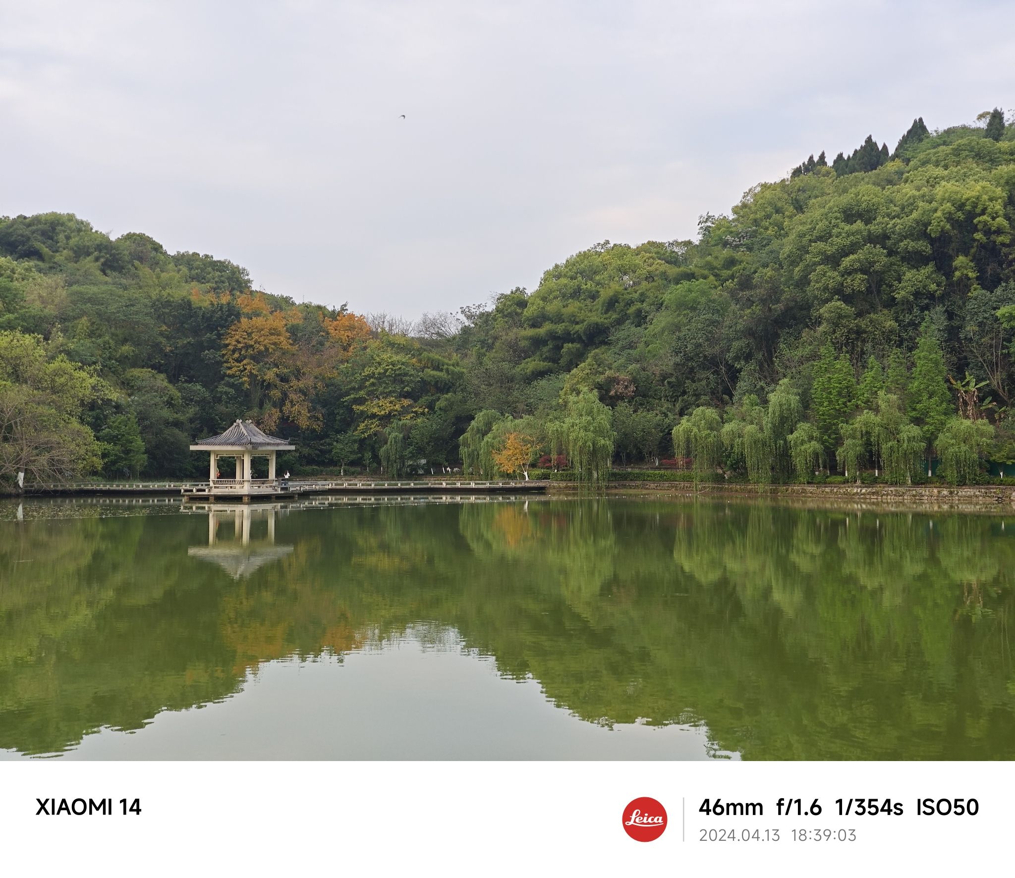 盐都植物园旅行图片 2