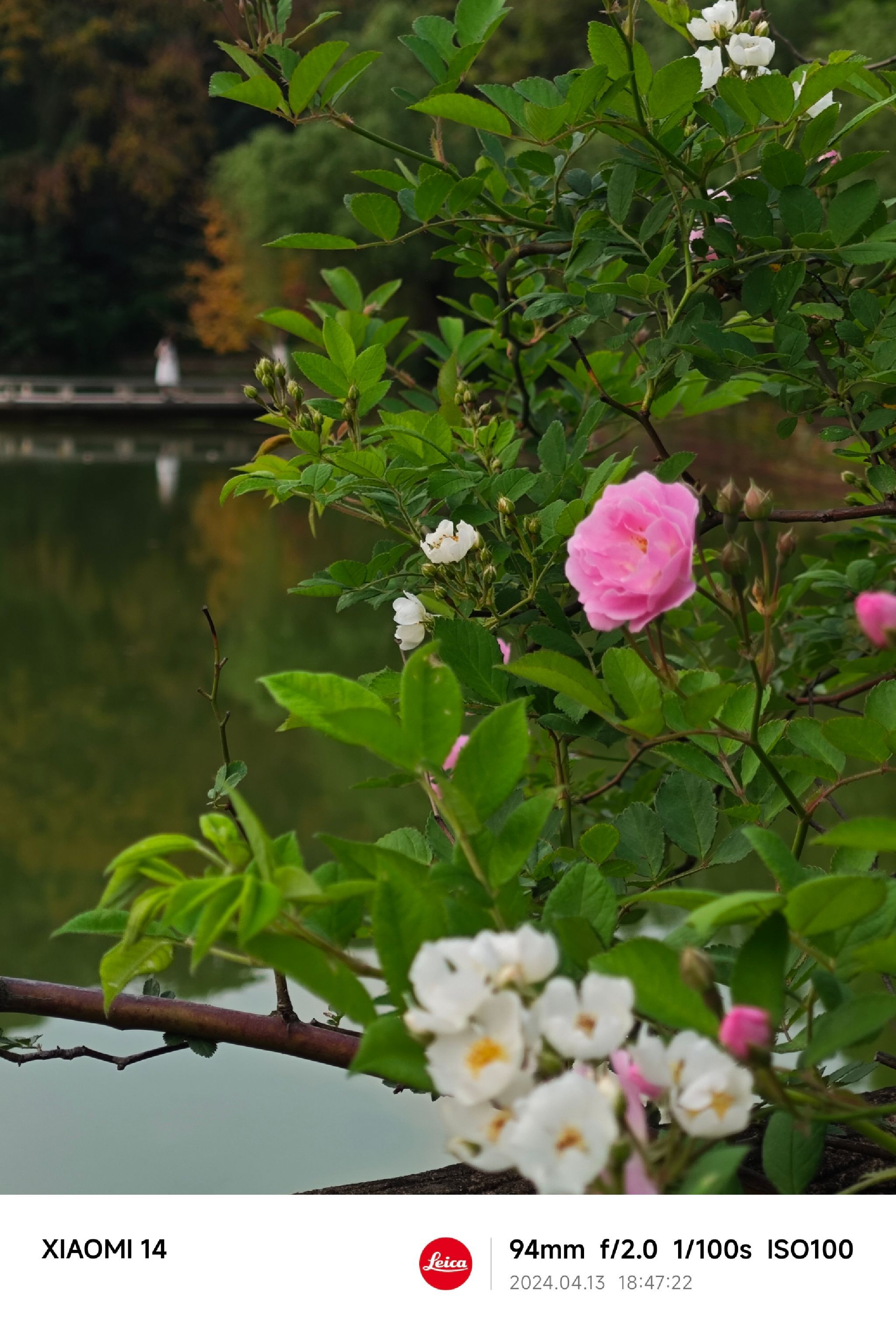 盐都植物园旅行图片 1