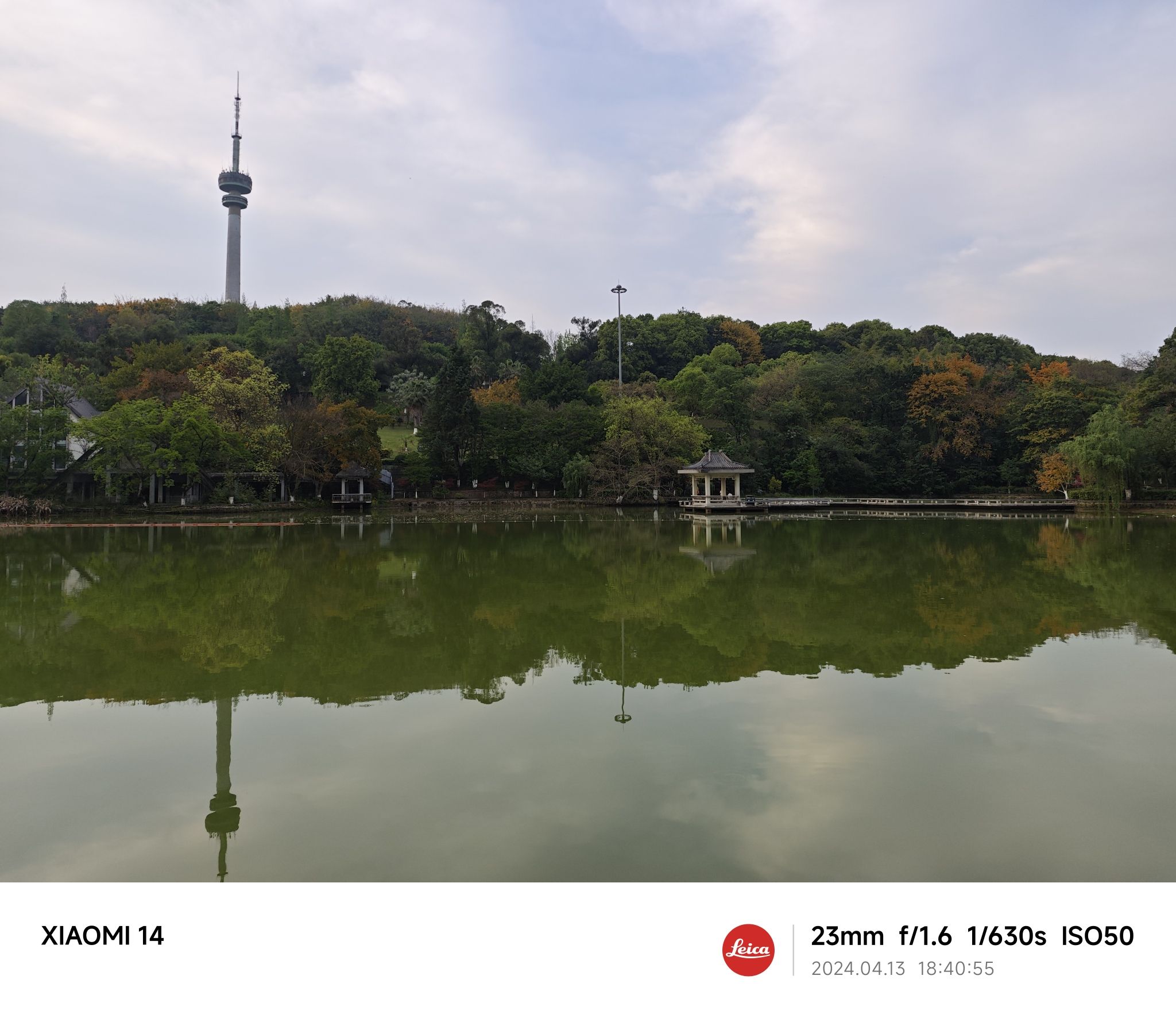 盐都植物园旅行图片 3
