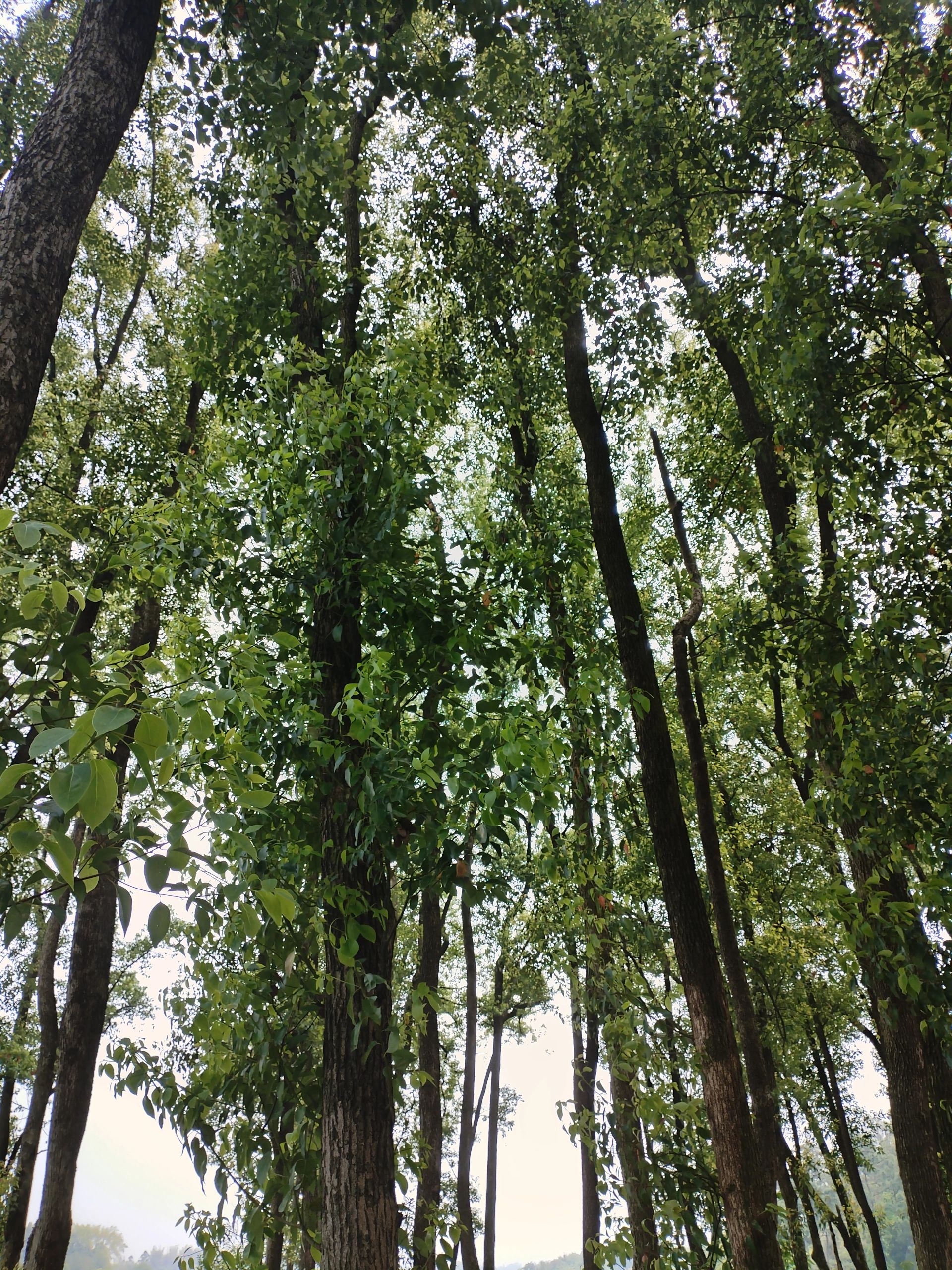 青龙湖旅行图片 2