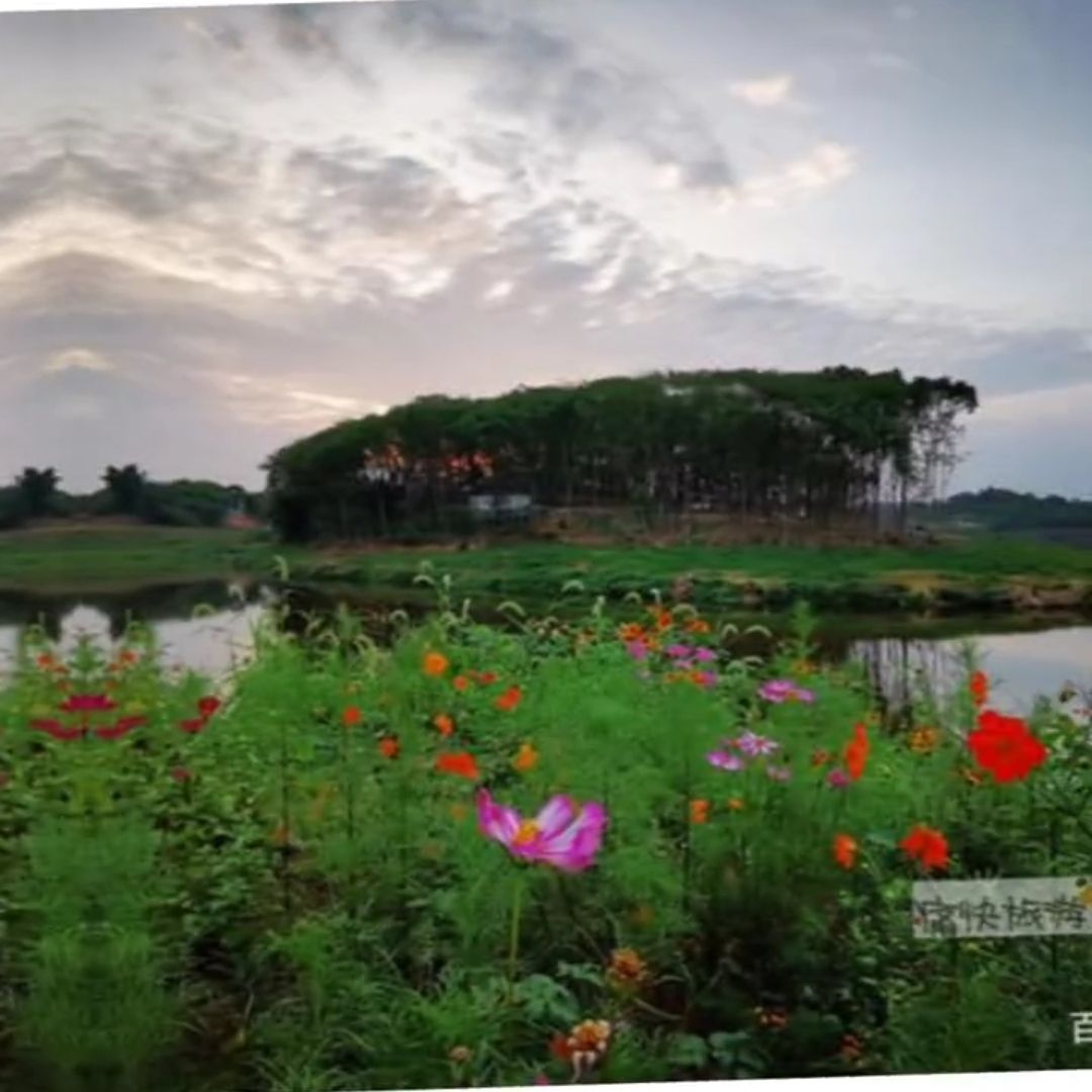 青龙湖旅行图片 3