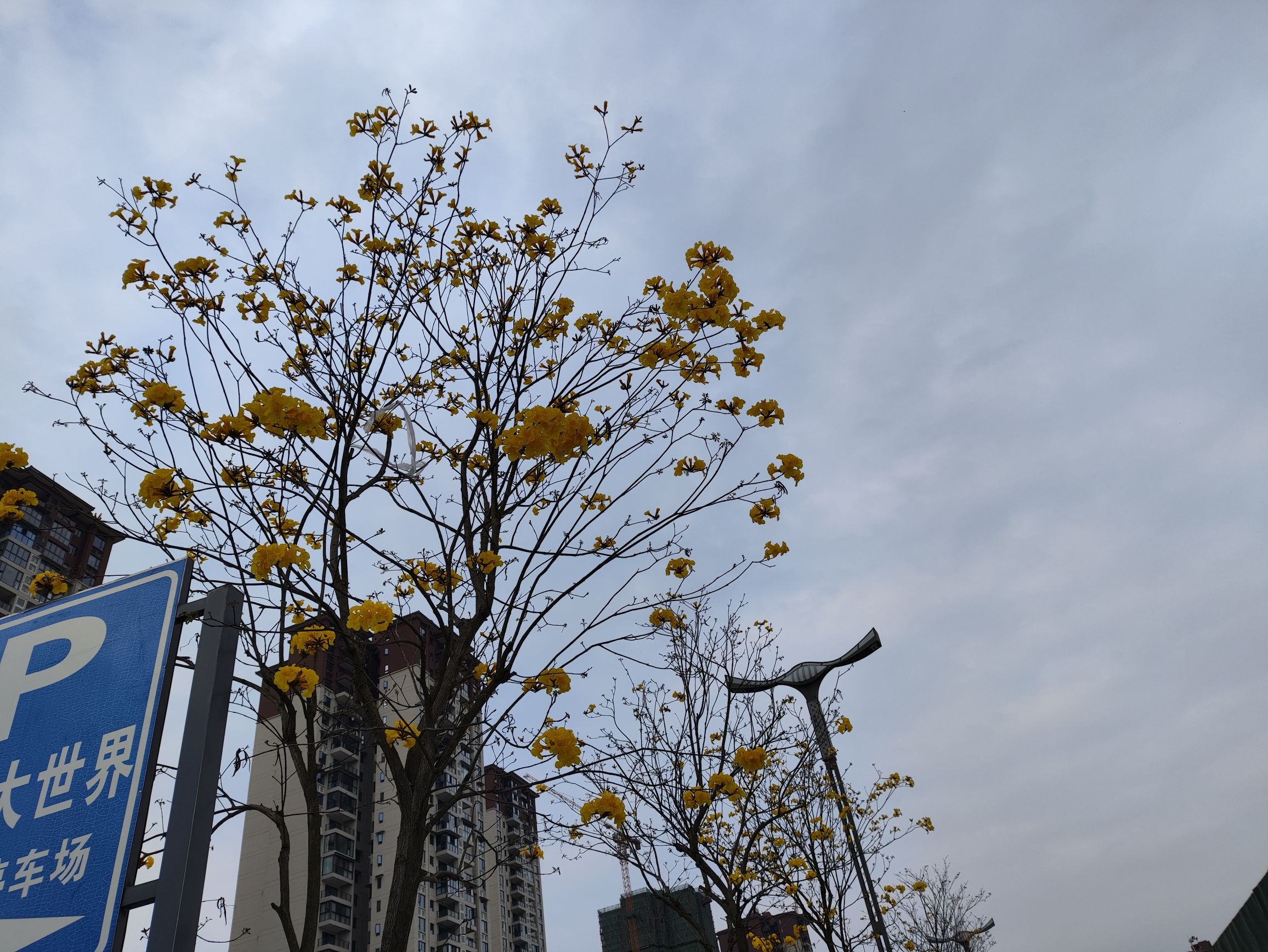 江姐故里红色教育基地旅行图片 2