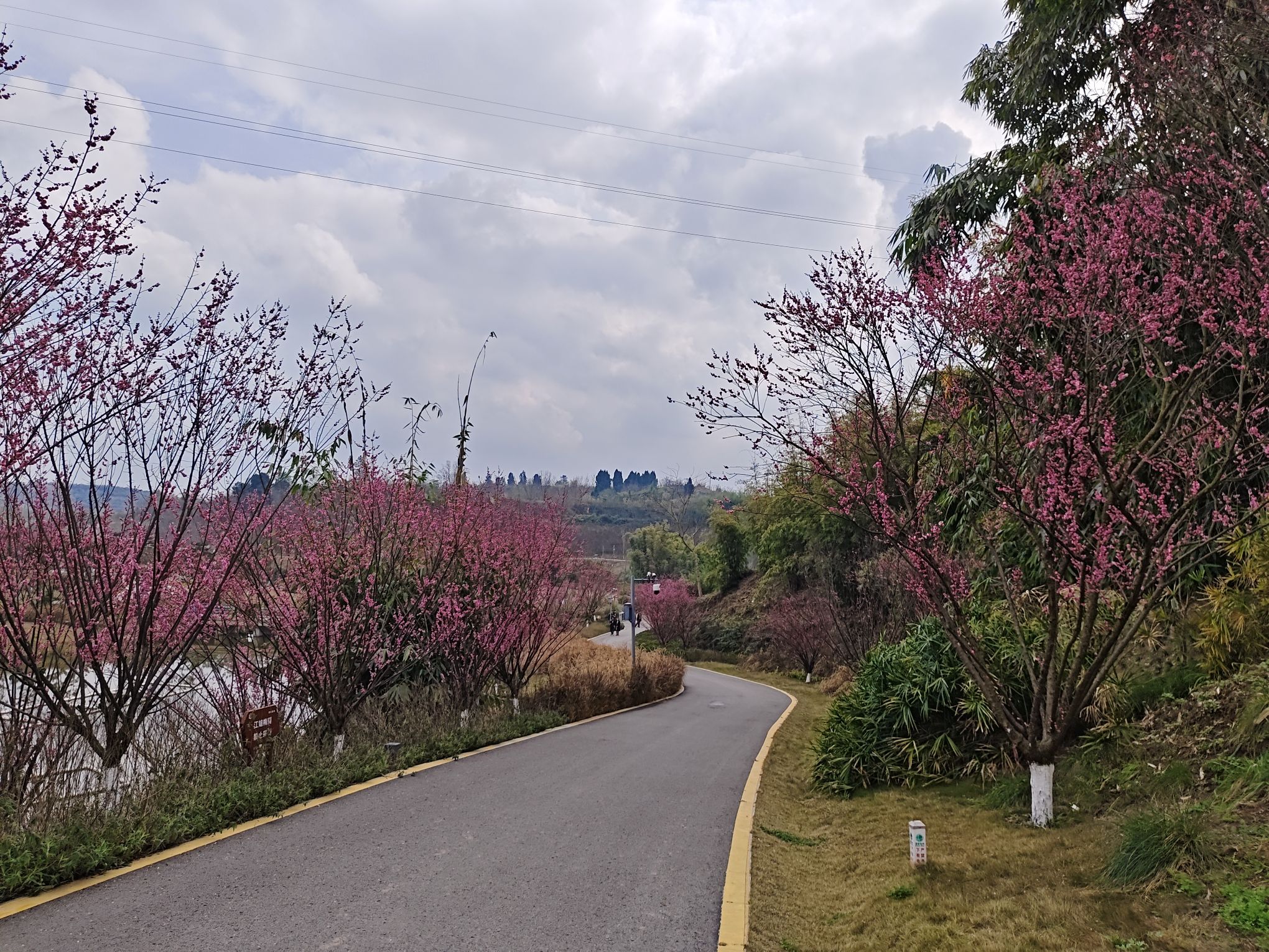 江姐故里红色教育基地旅行图片 1