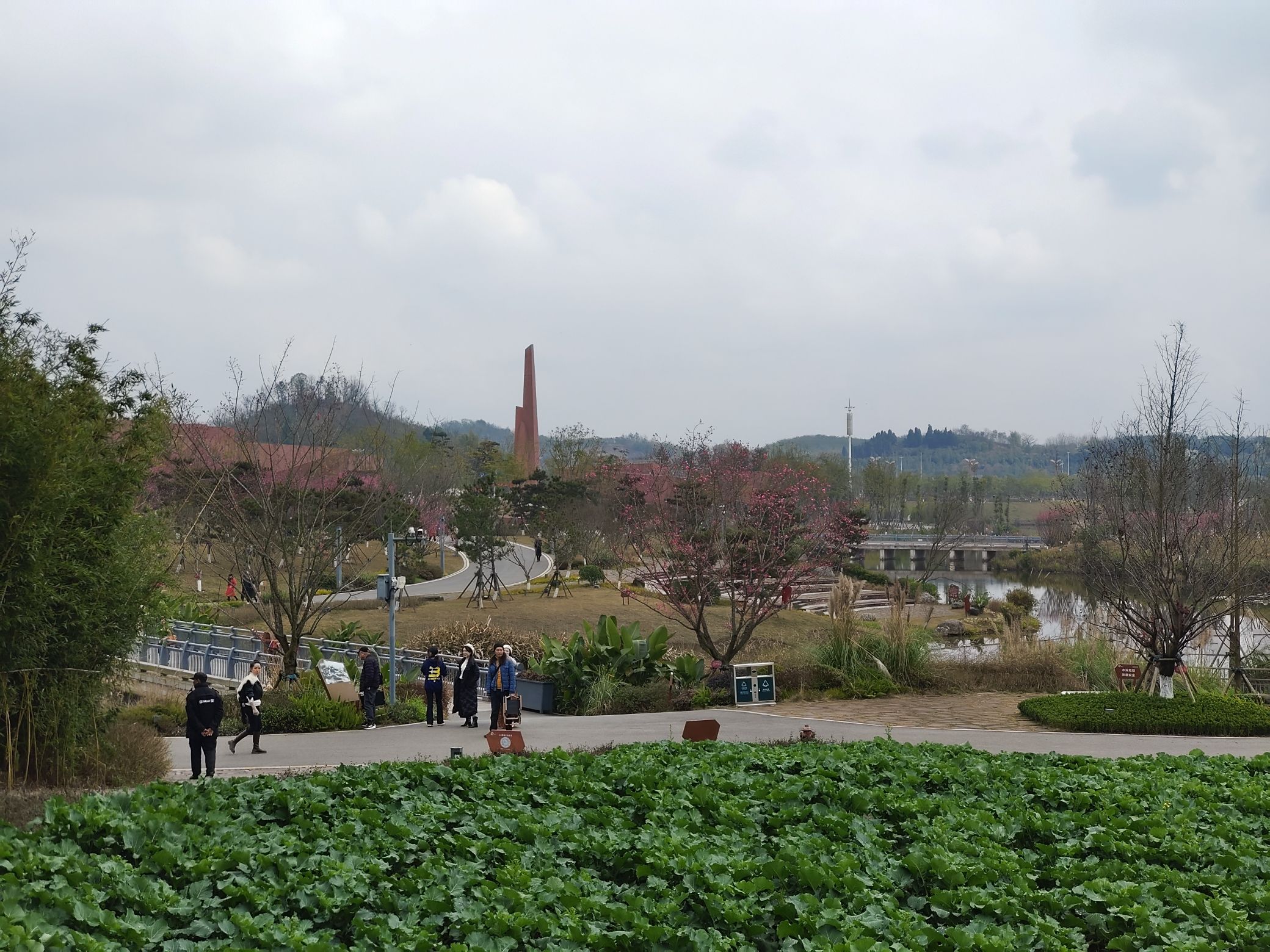 江姐故里红色教育基地旅行图片 3