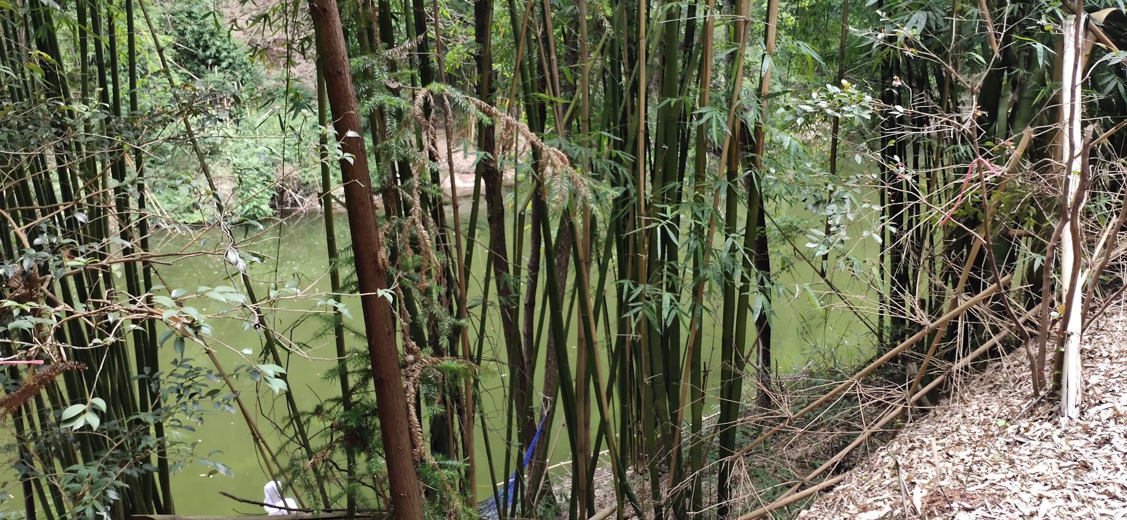 飞龙峡自然风景区(暂停开放)旅行图片 2