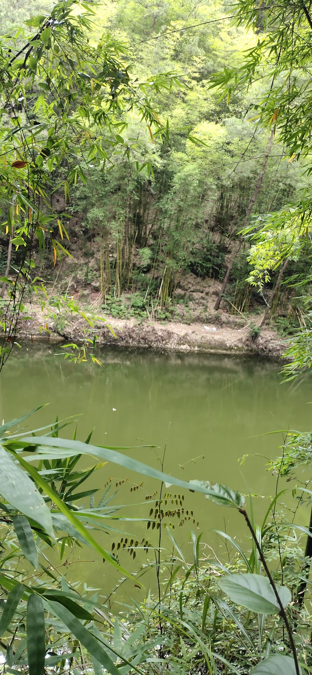 飞龙峡自然风景区(暂停开放)旅行图片 3