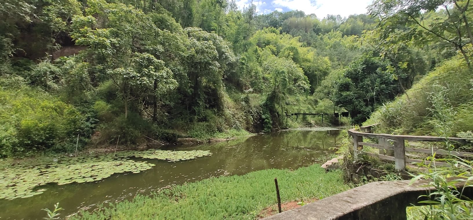 飞龙峡自然风景区(暂停开放)旅行图片 1