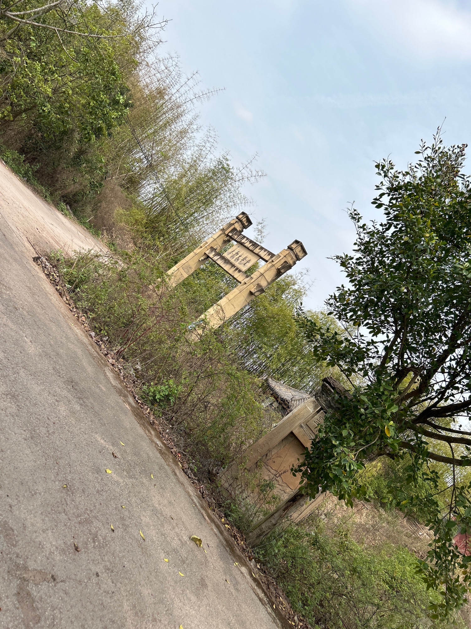 永和大学堂旅行图片 1