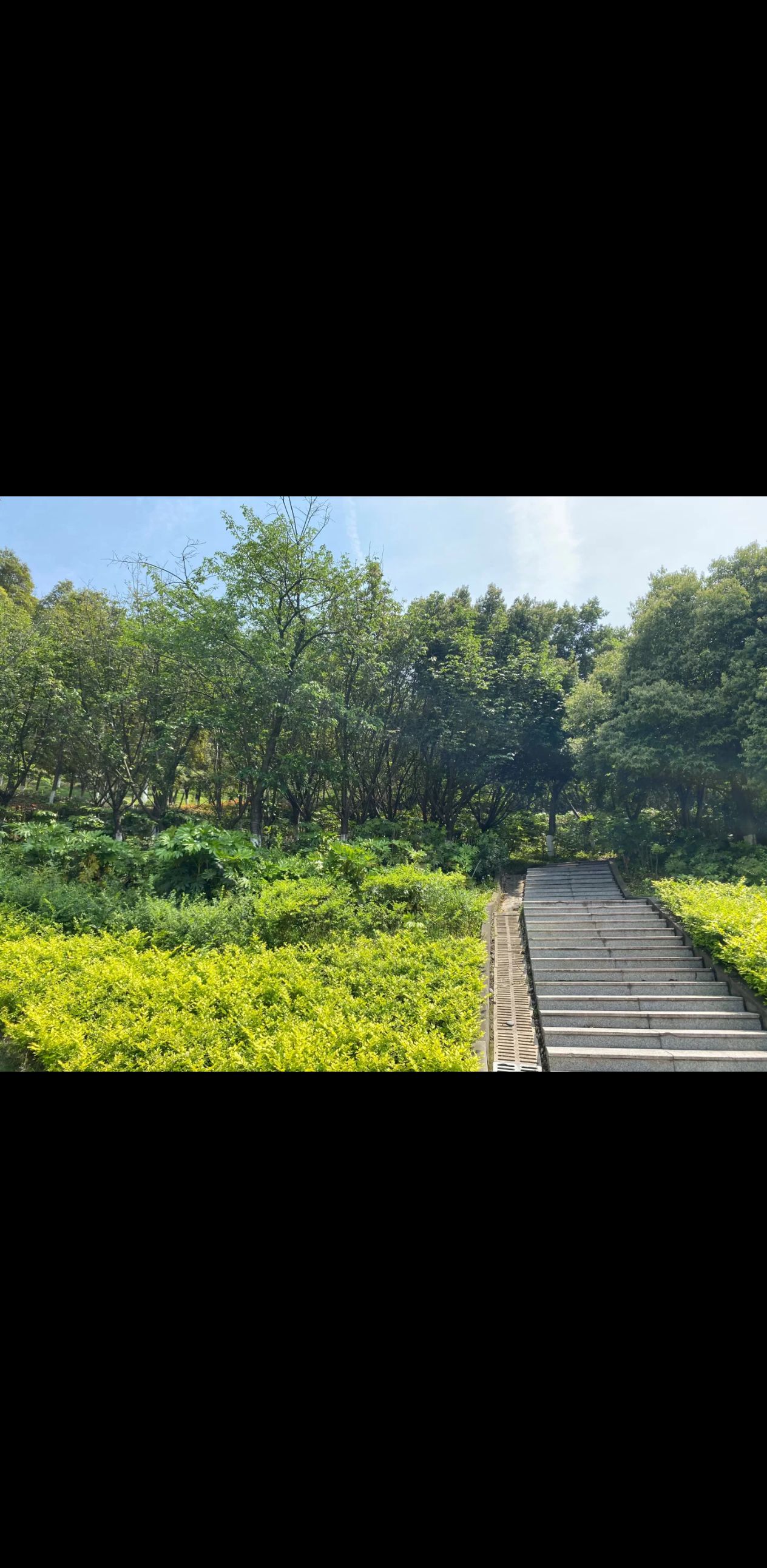 南湖生态公园旅行图片 3