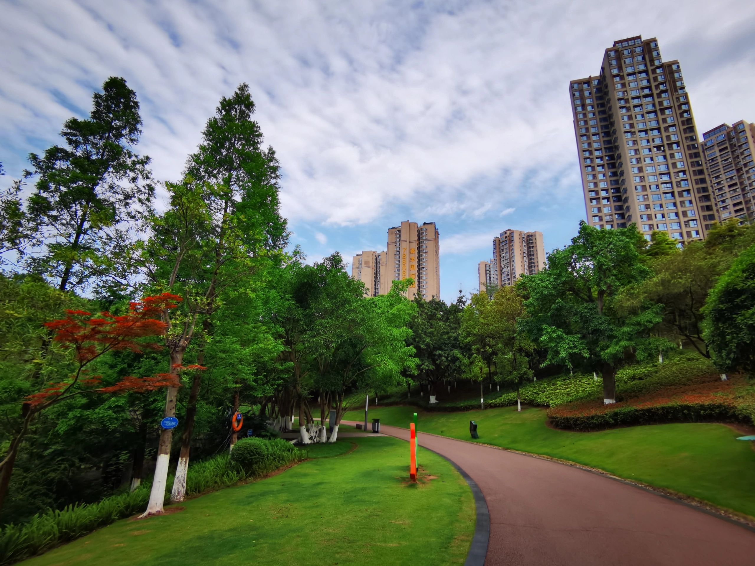 南湖生态公园旅行图片 3