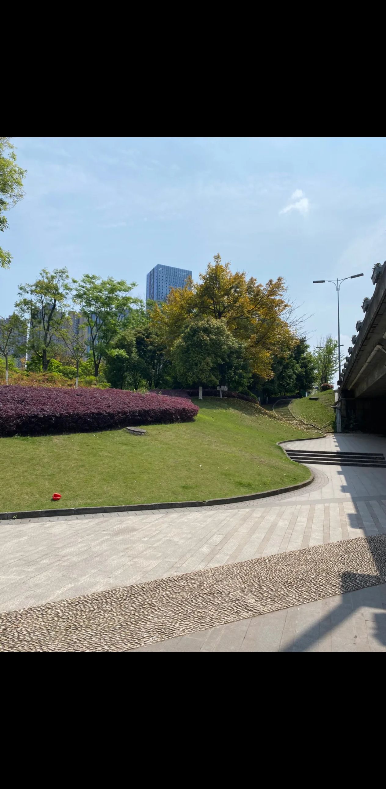 南湖生态公园旅行图片 1